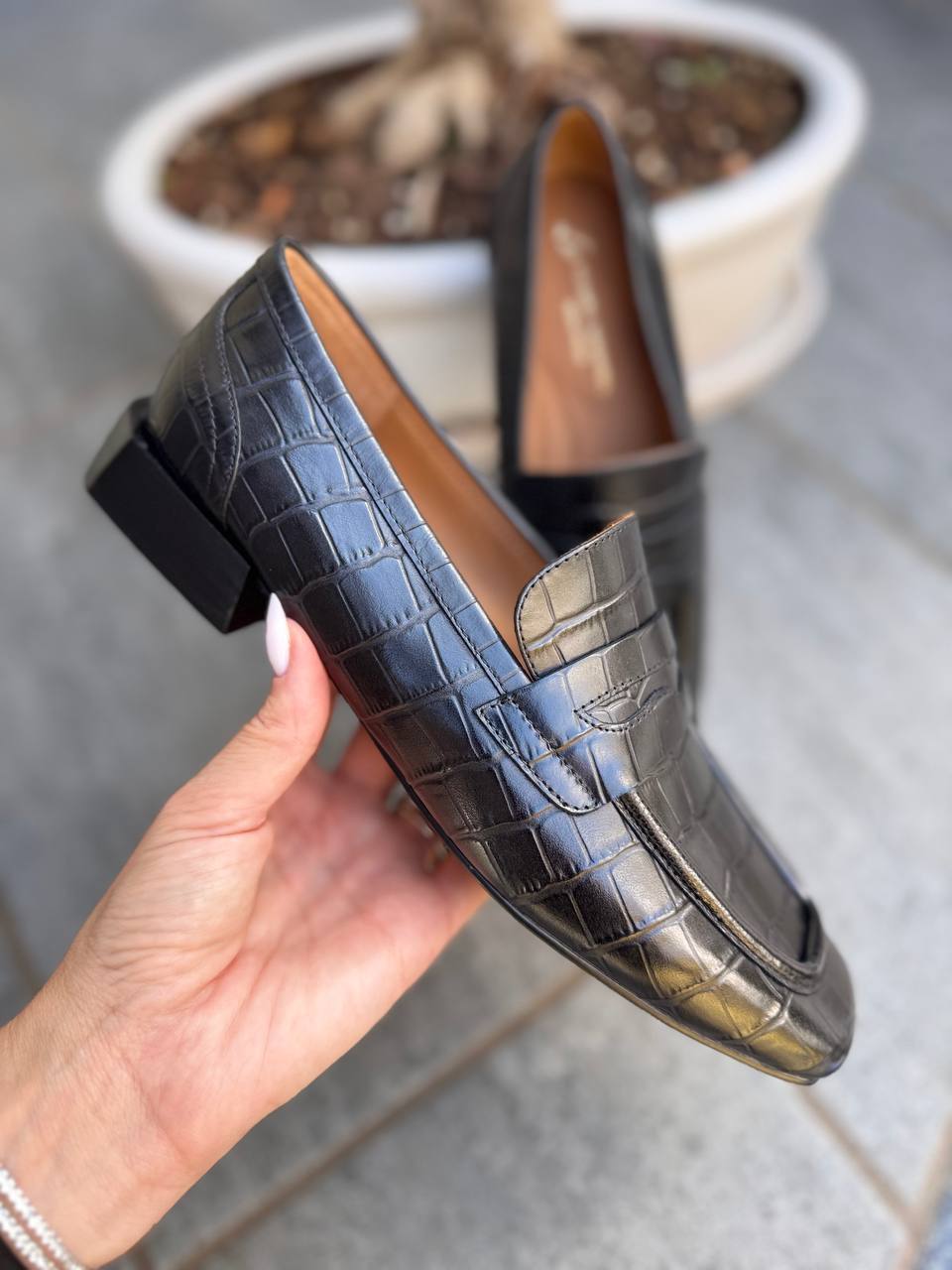 Фото Roberto Serpentini