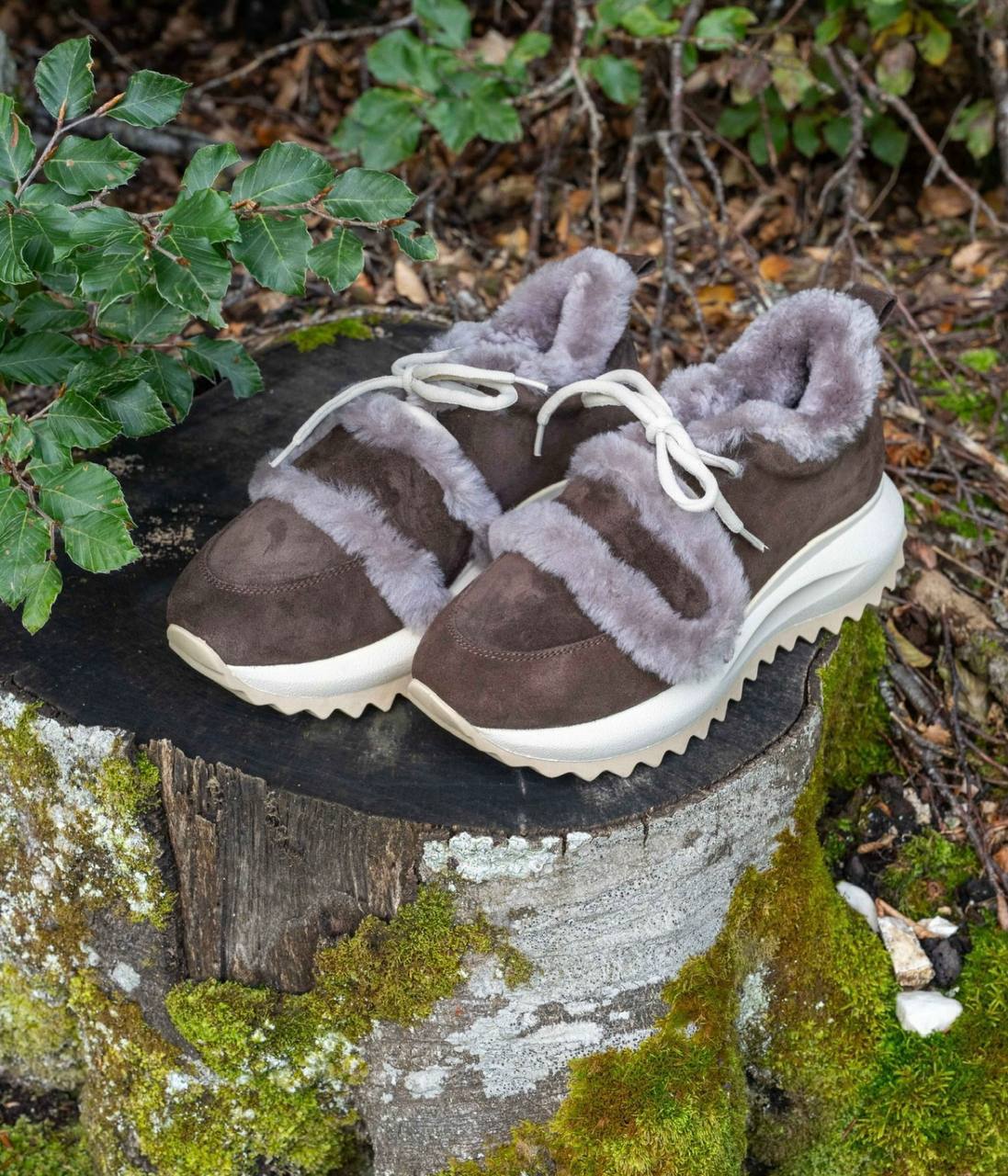 Фото Roberto Serpentini