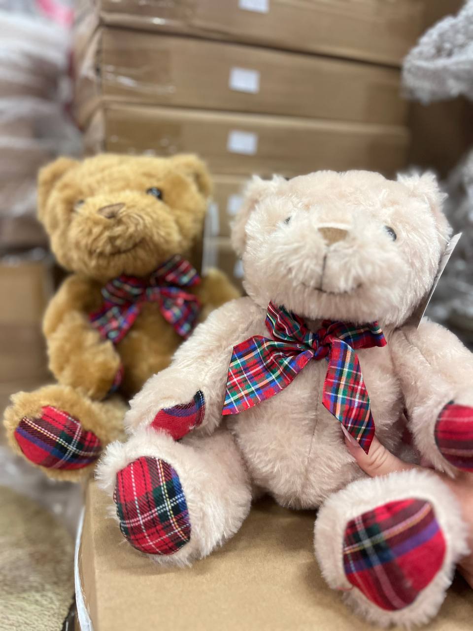 Pezzoli Фото Pezzoli