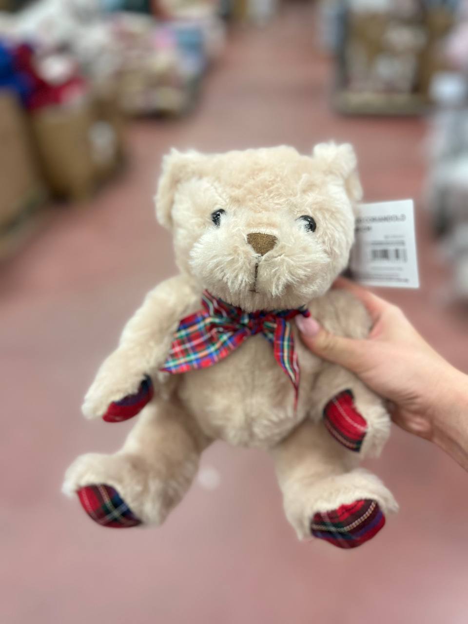 Pezzoli Фото Pezzoli