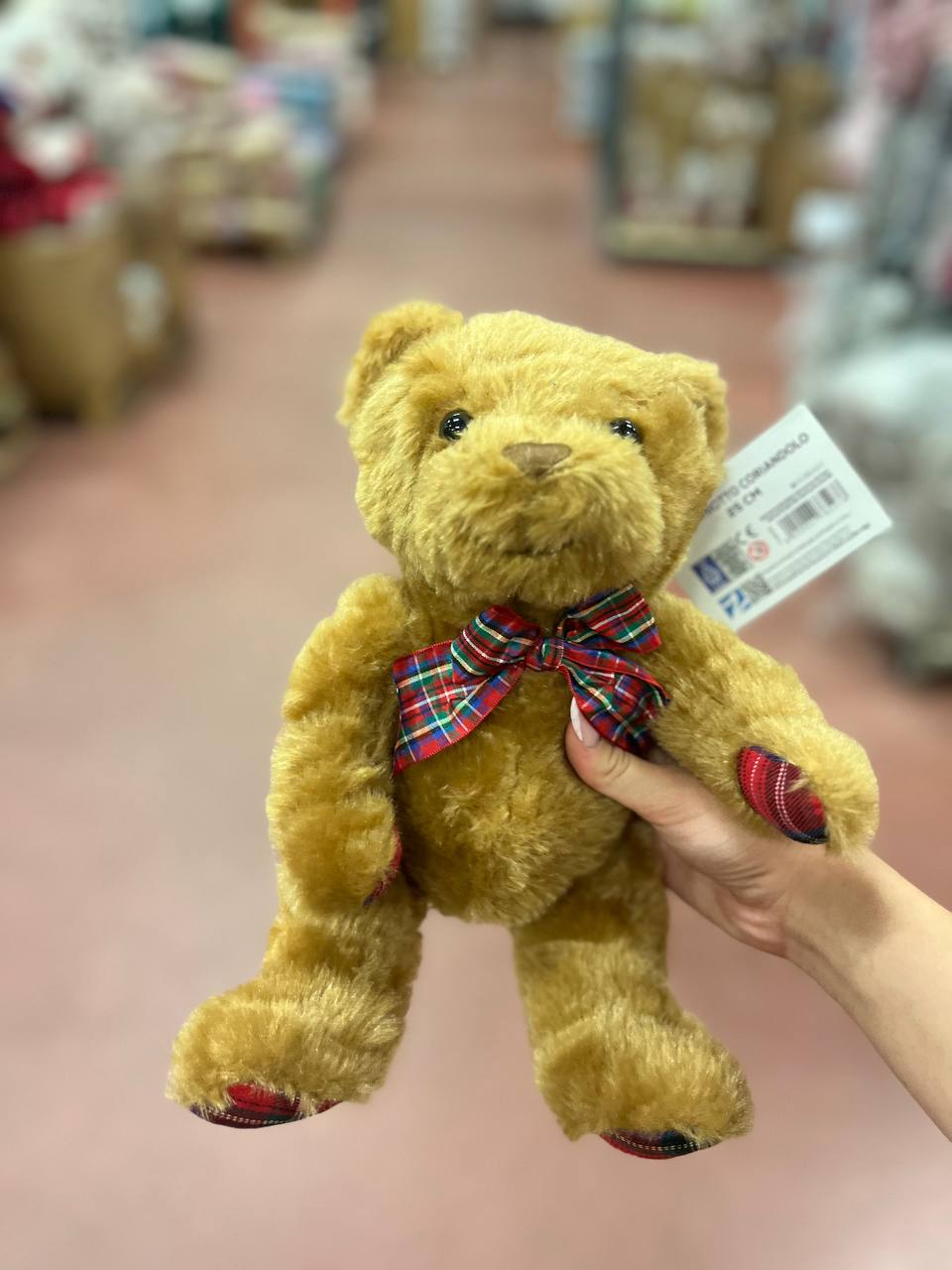 Pezzoli Фото Pezzoli