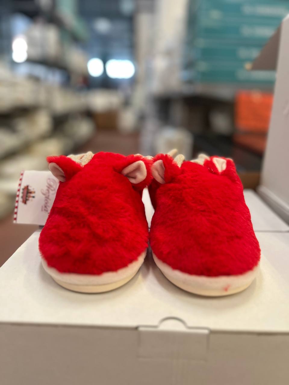 Pezzoli Фото Pezzoli