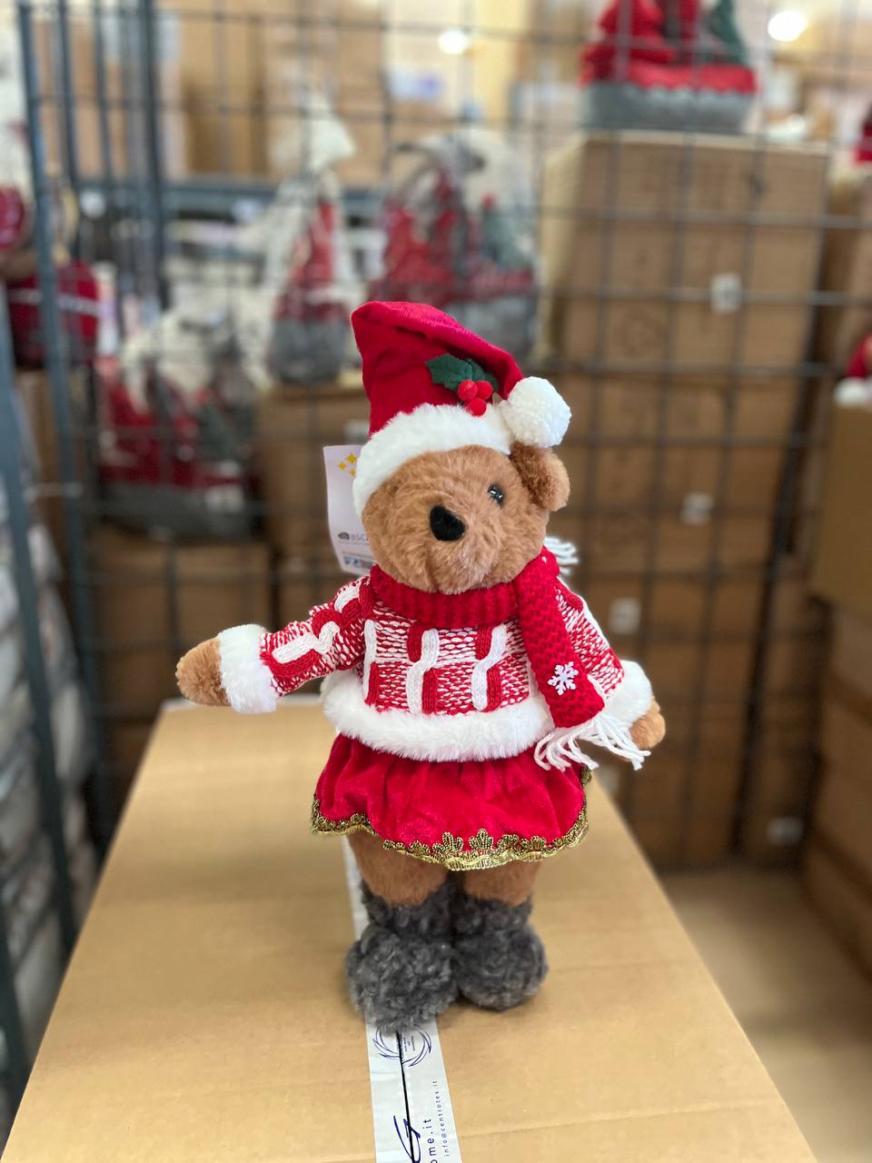 Pezzoli Фото Pezzoli