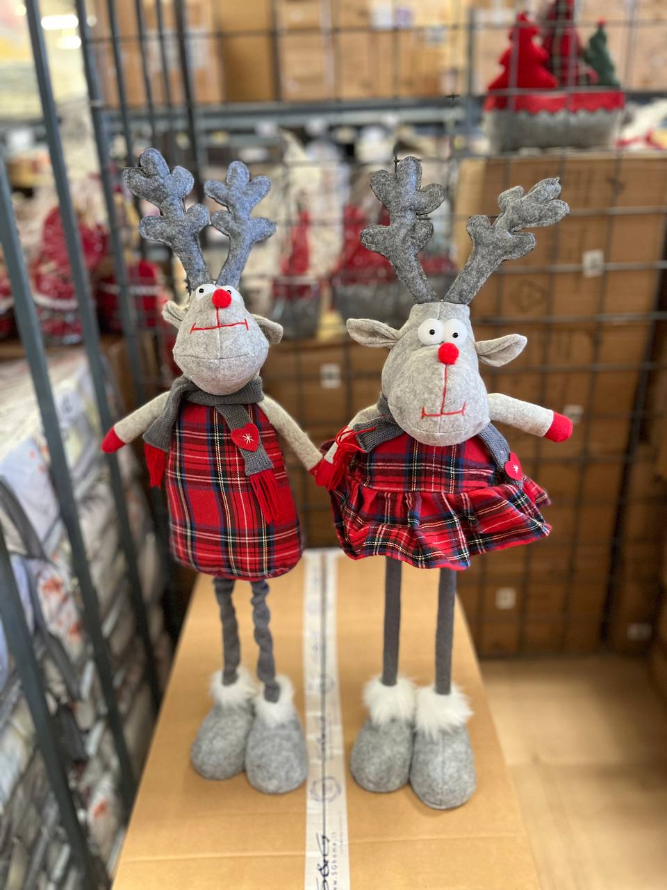 Pezzoli Фото Pezzoli