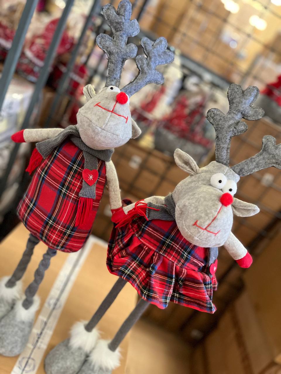 Pezzoli Фото Pezzoli