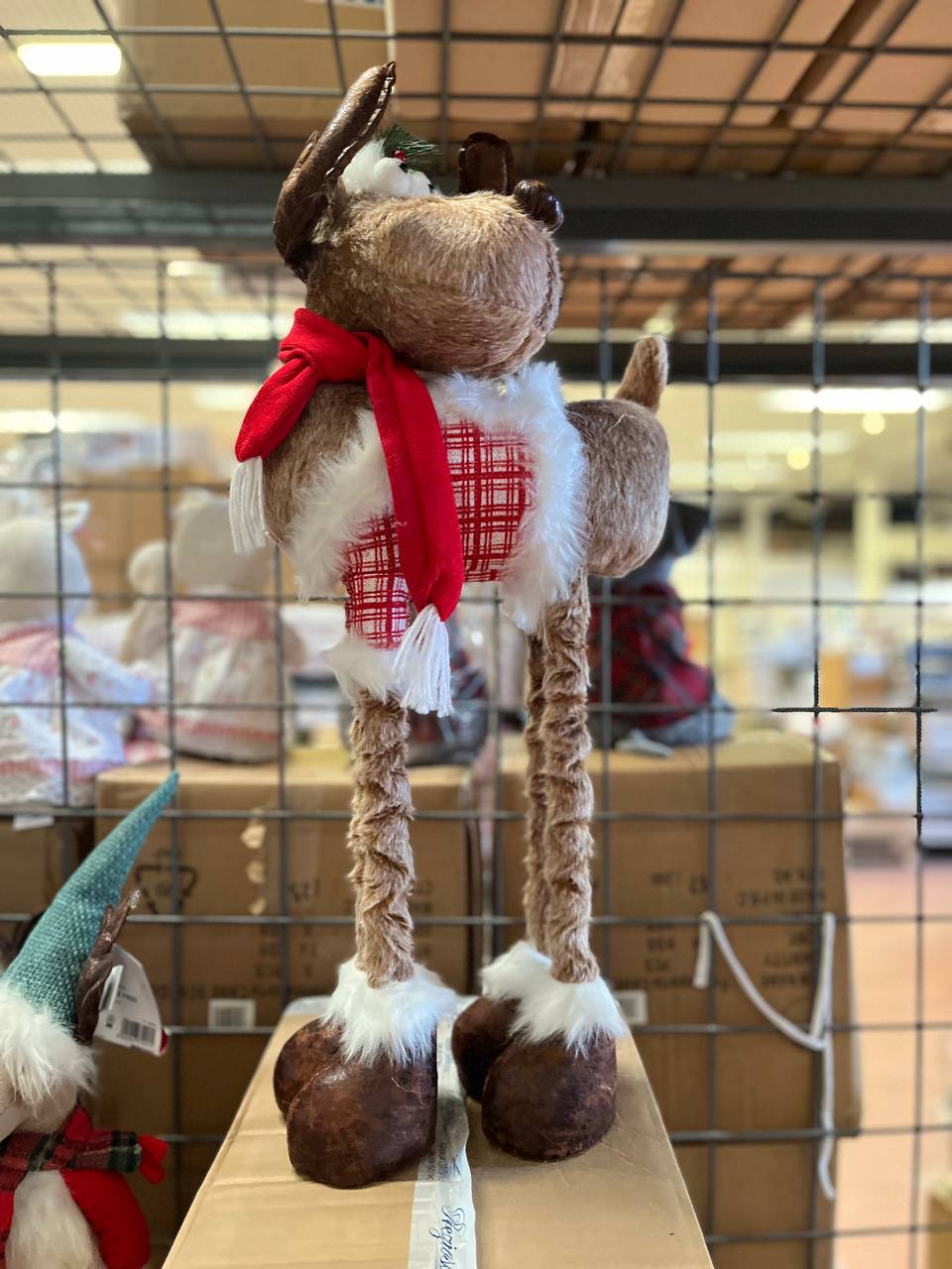 Pezzoli Фото Pezzoli