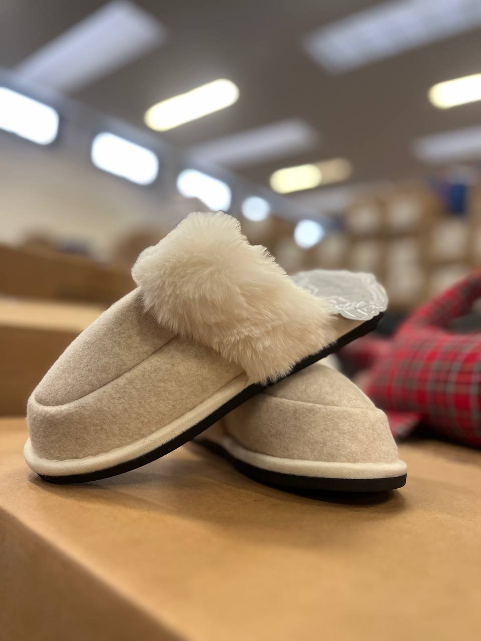 Pezzoli Фото Pezzoli