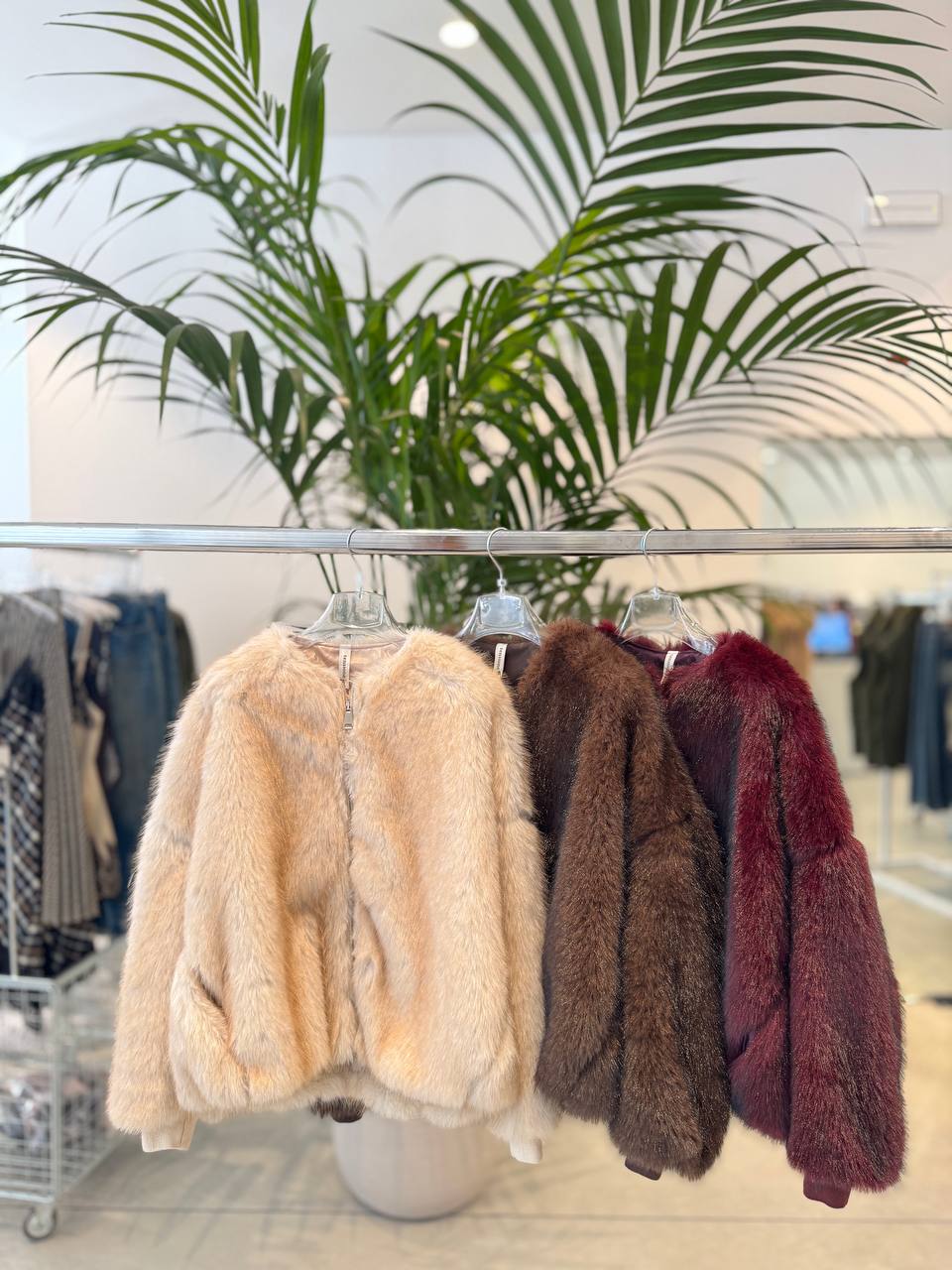 Фото Tensione in