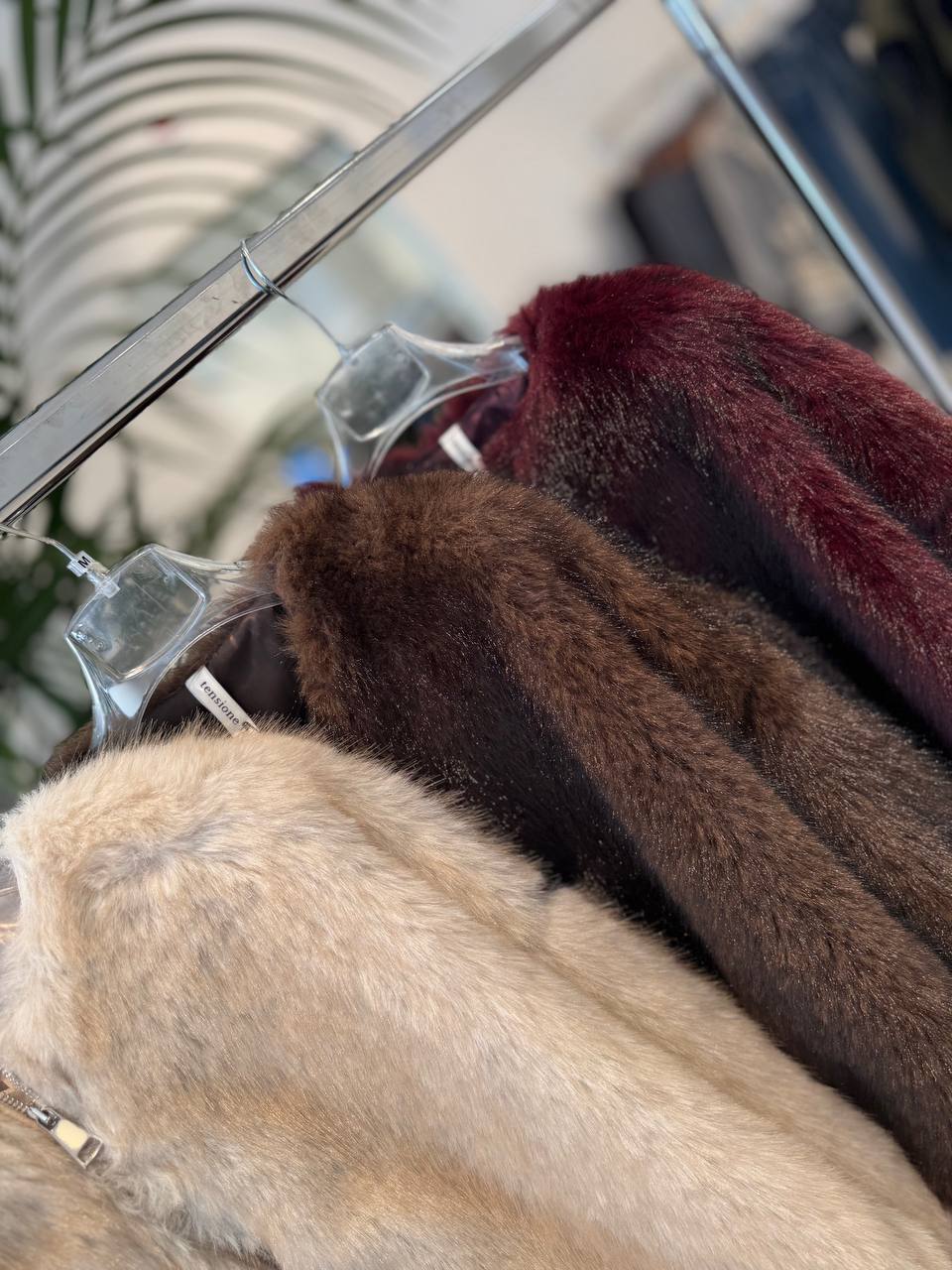 Фото Tensione in