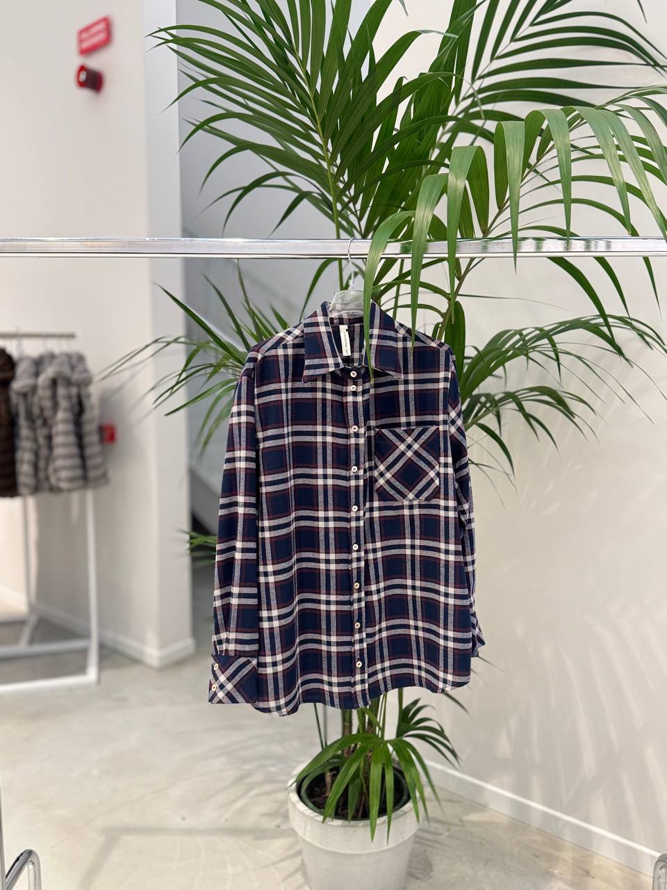 Фото Tensione in