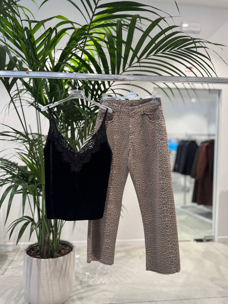 Фото Tensione in