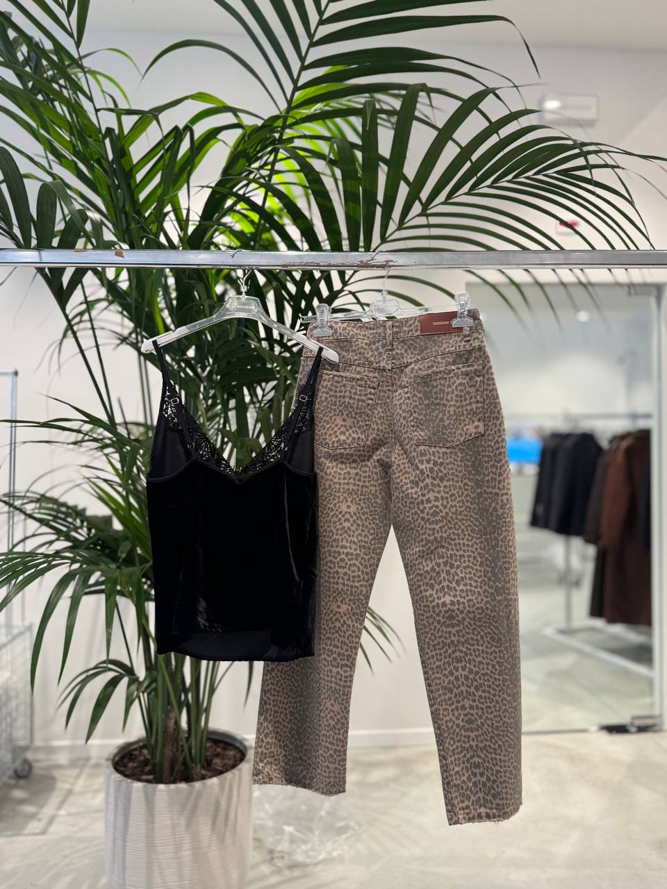 Фото Tensione in