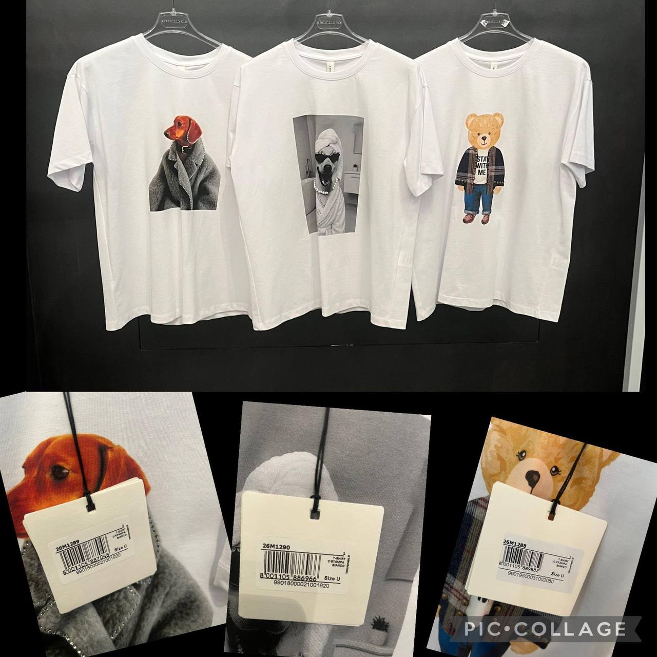 Фото Tensione in