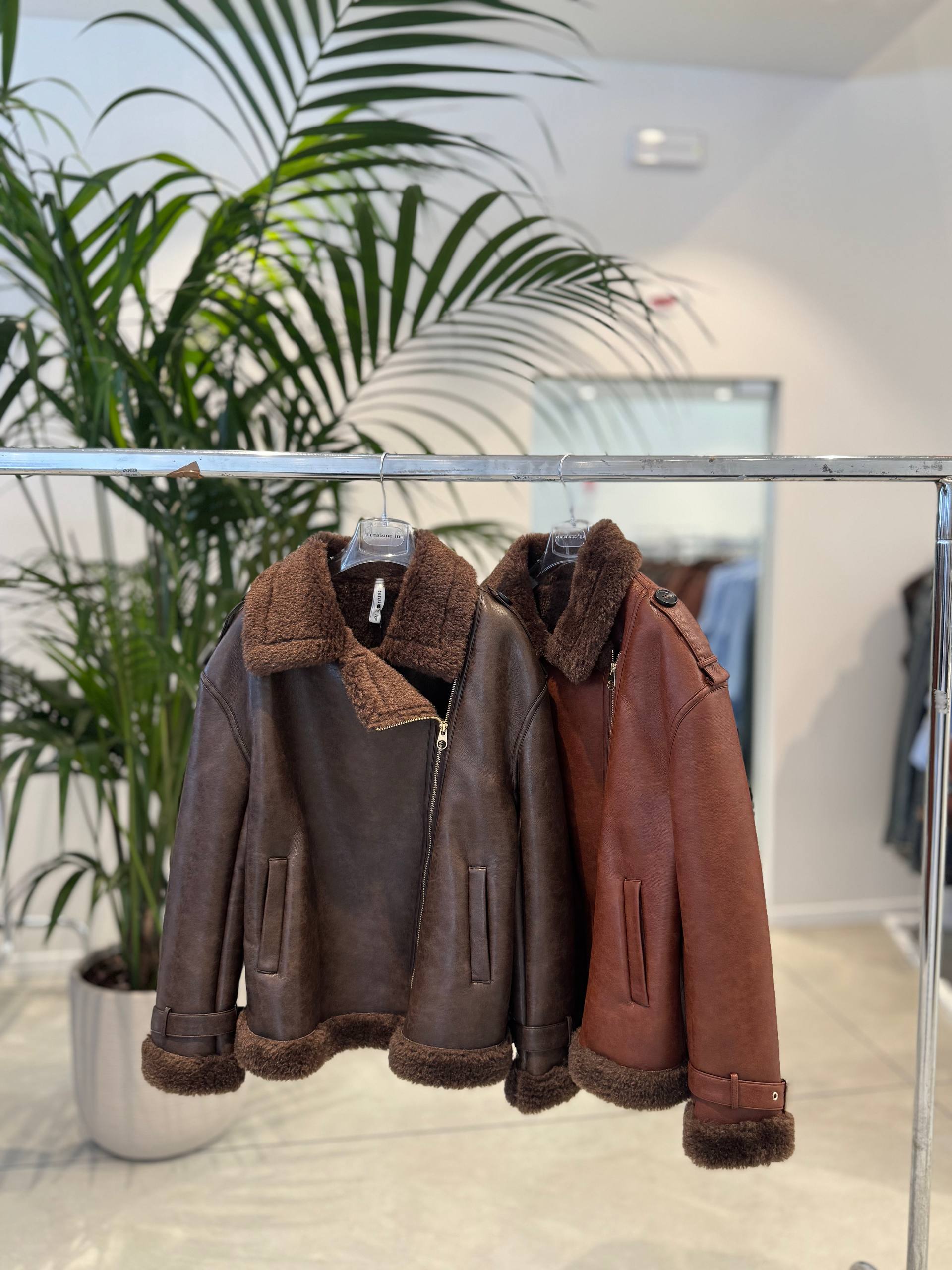 Фото Federica Lancioni