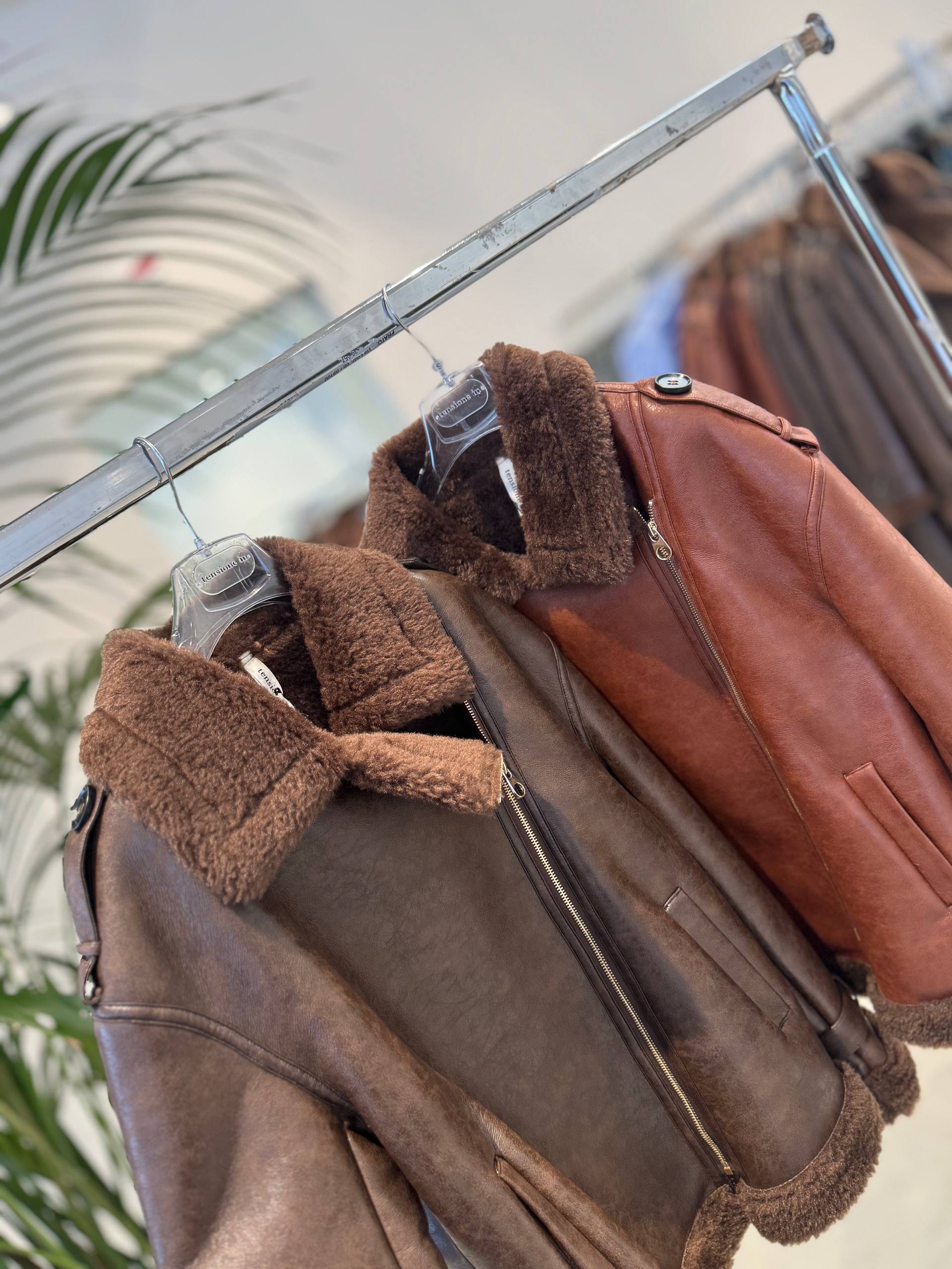 Фото Federica Lancioni