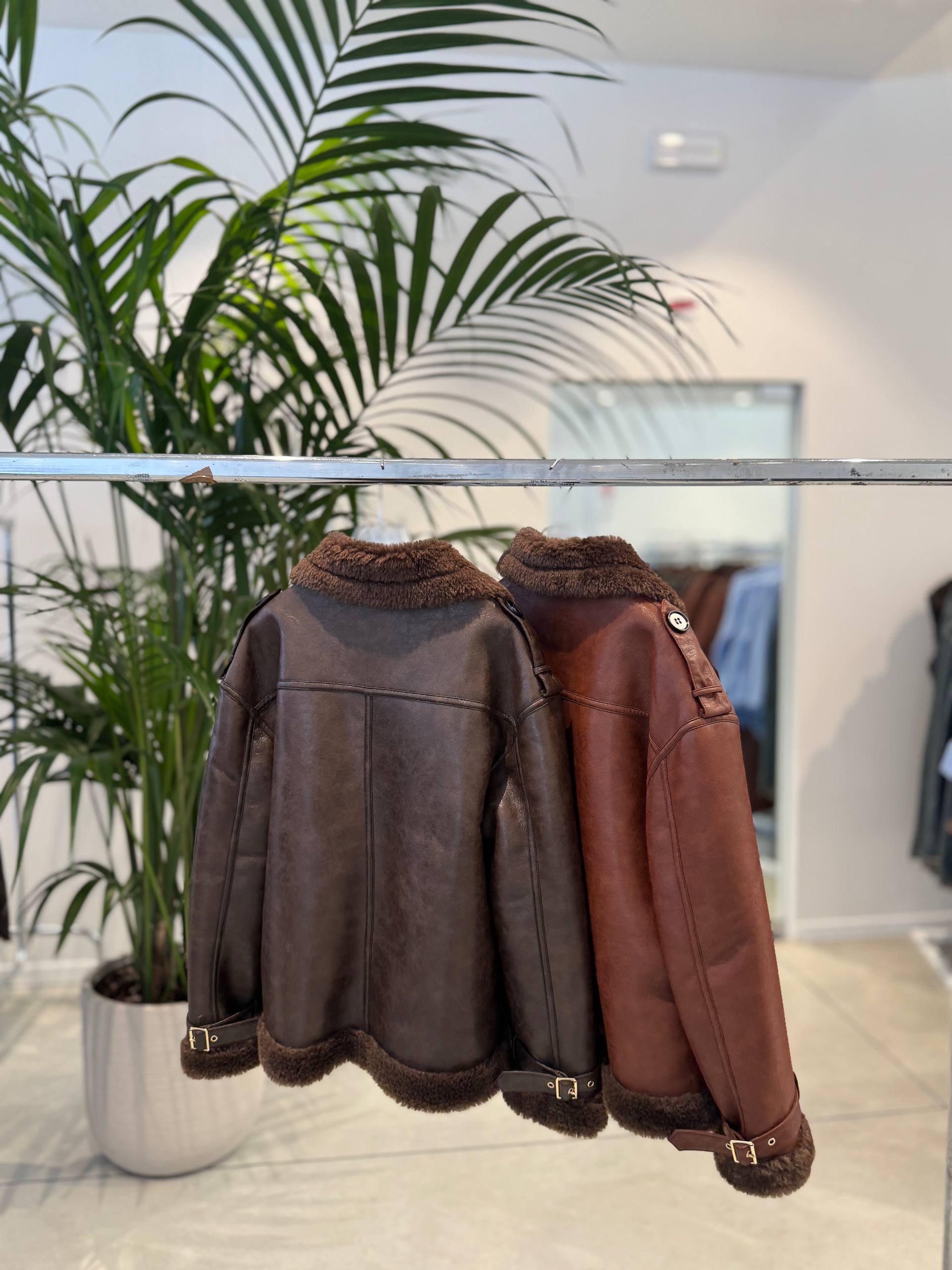 Фото Federica Lancioni