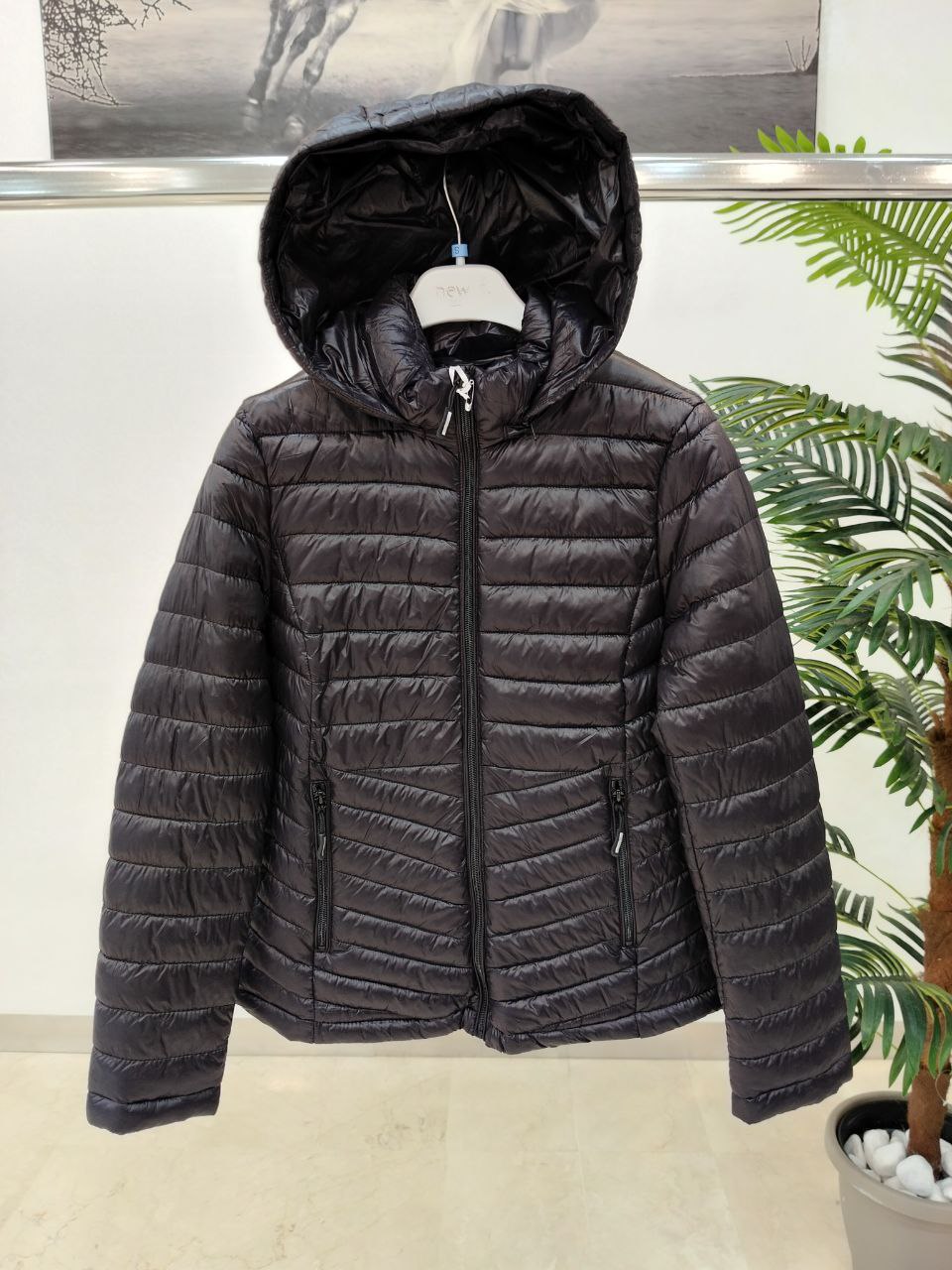 New J Фото New J