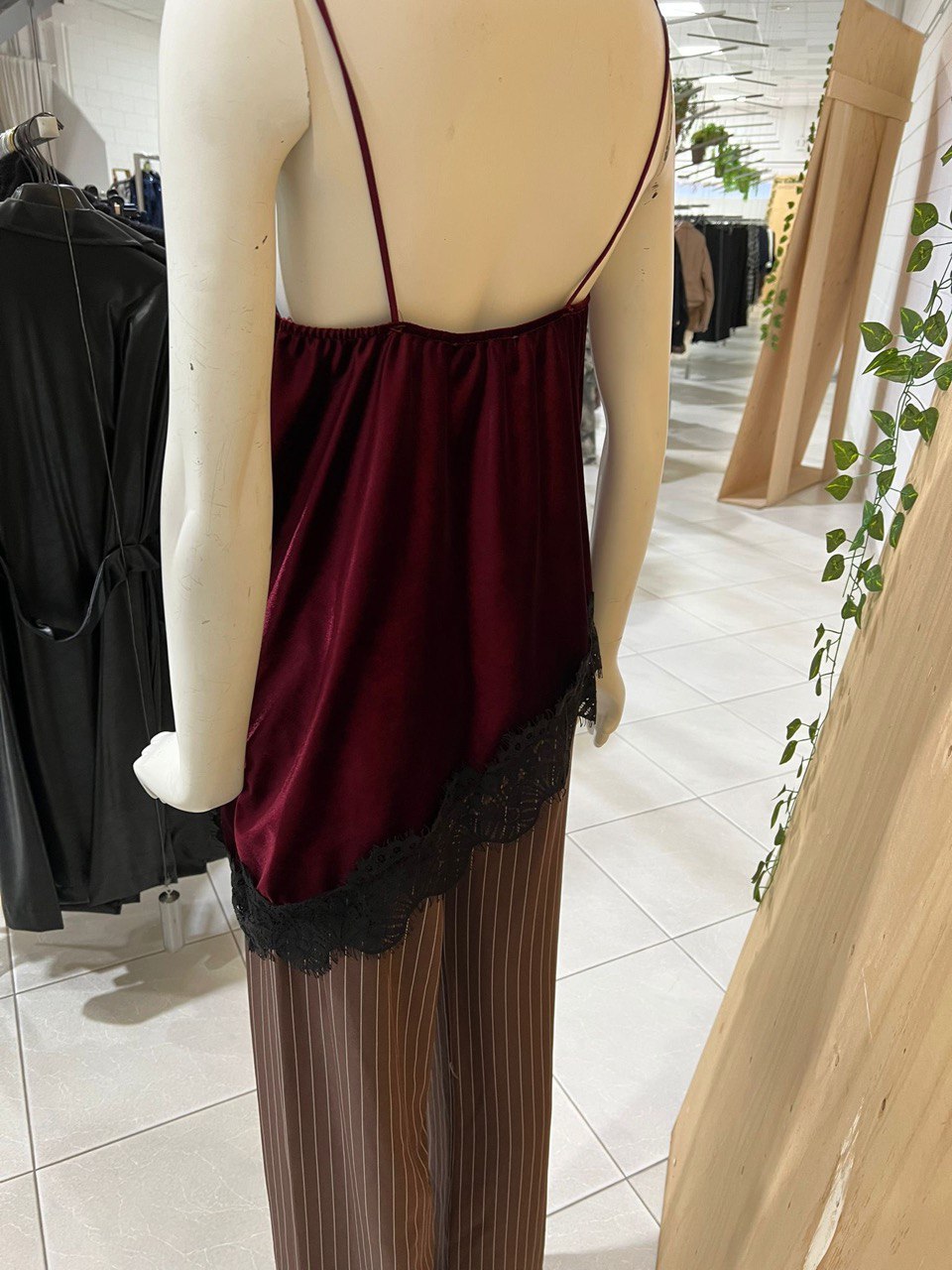 Фото Vanessa Scott