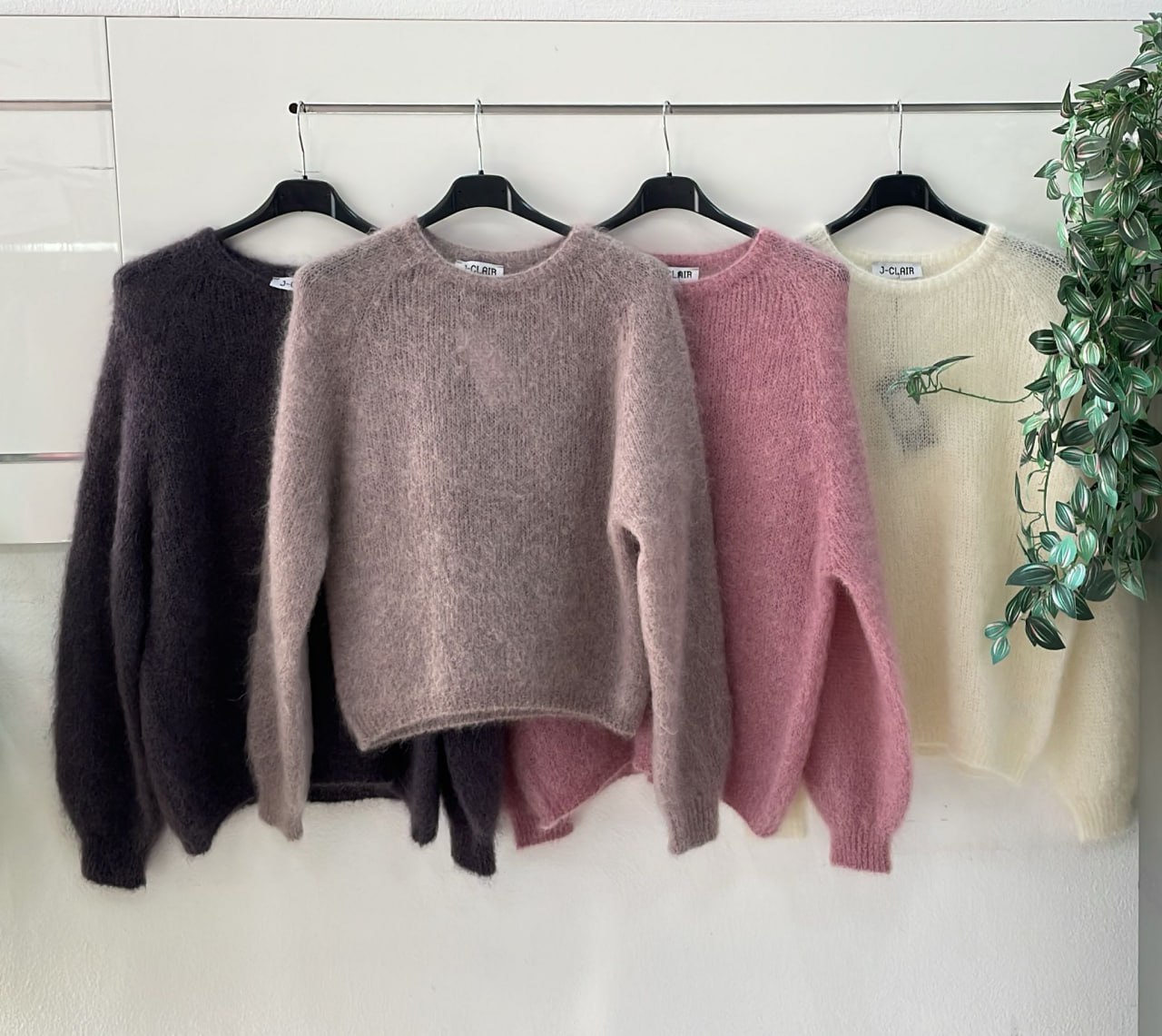 Фото Joie Clair (J-Clair)