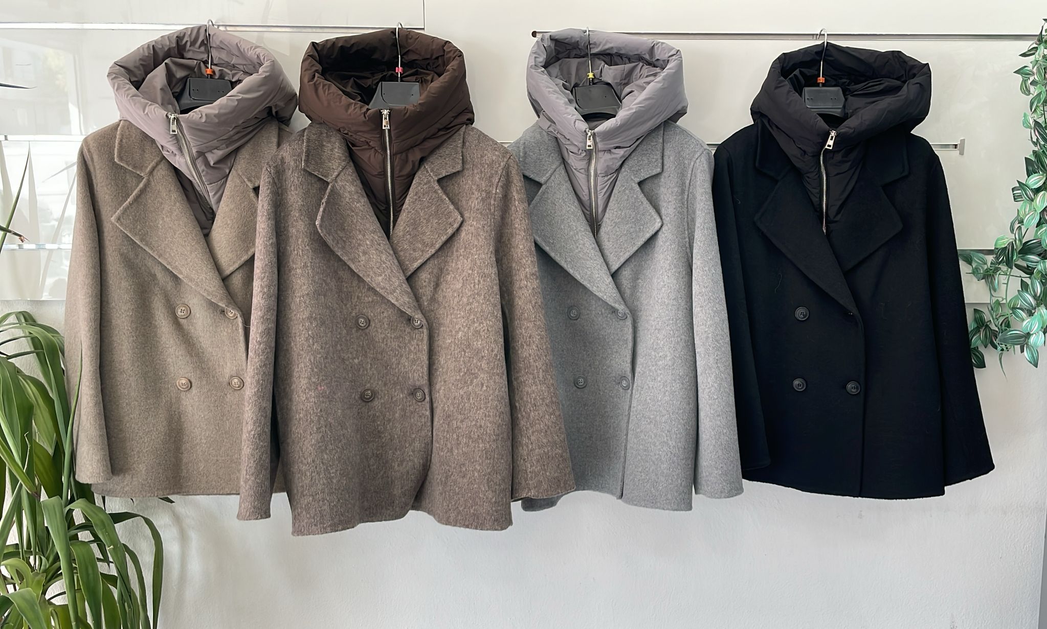 Фото Joie Clair (J-Clair)