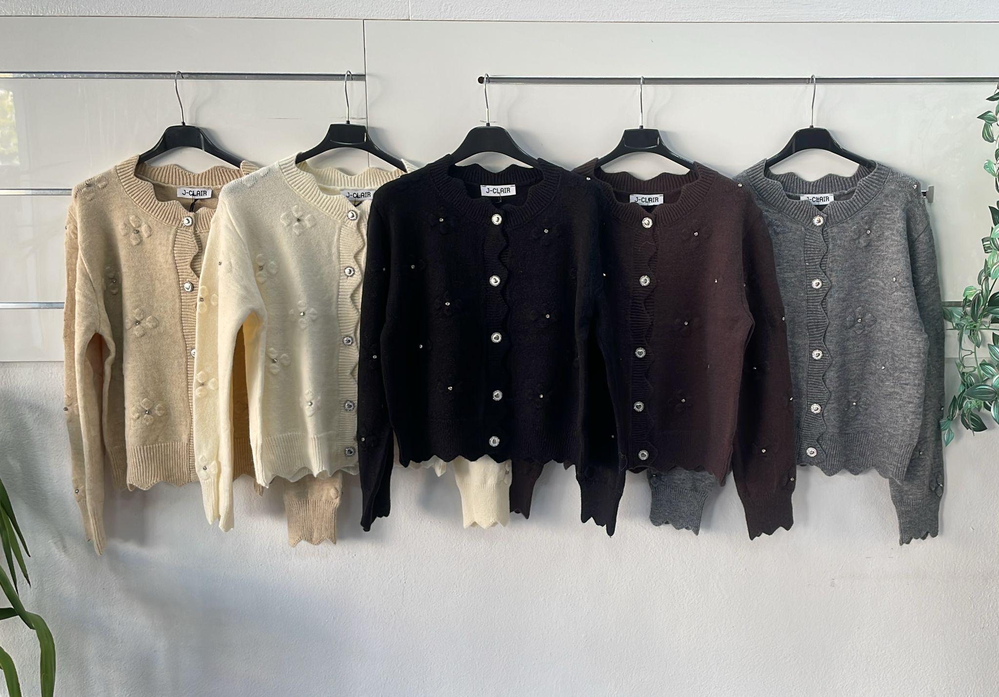 Фото Joie Clair (J-Clair)