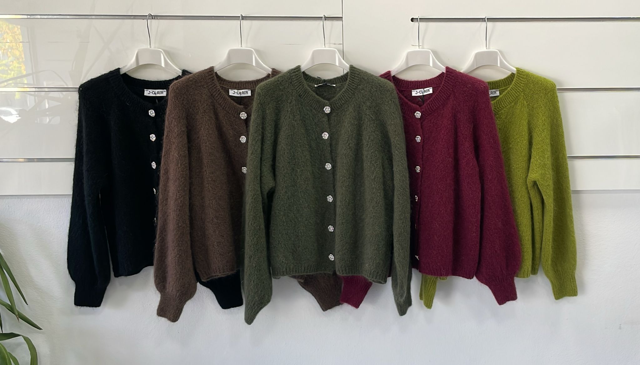 Фото Joie Clair (J-Clair)