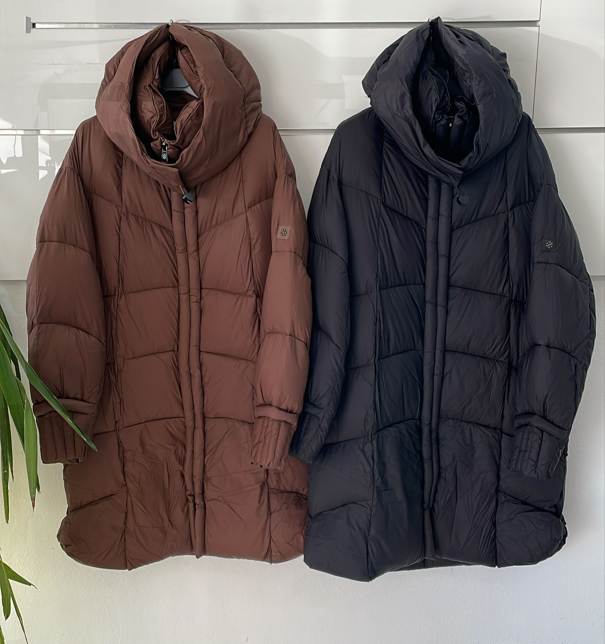 Joie Clair (J-Clair) Фото Joie Clair (J-Clair)