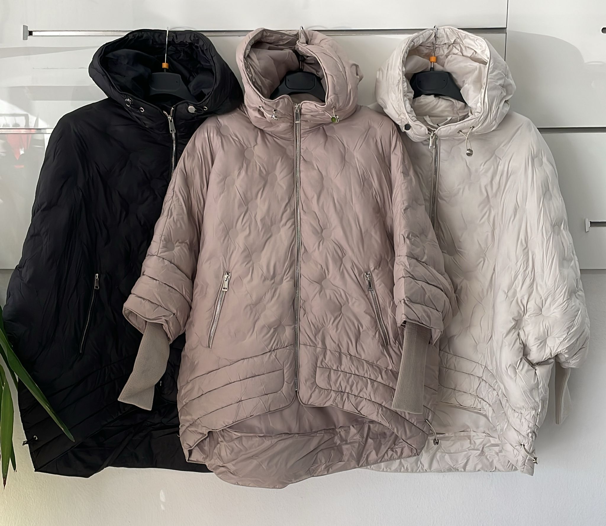 Joie Clair (J-Clair) Фото Joie Clair (J-Clair)