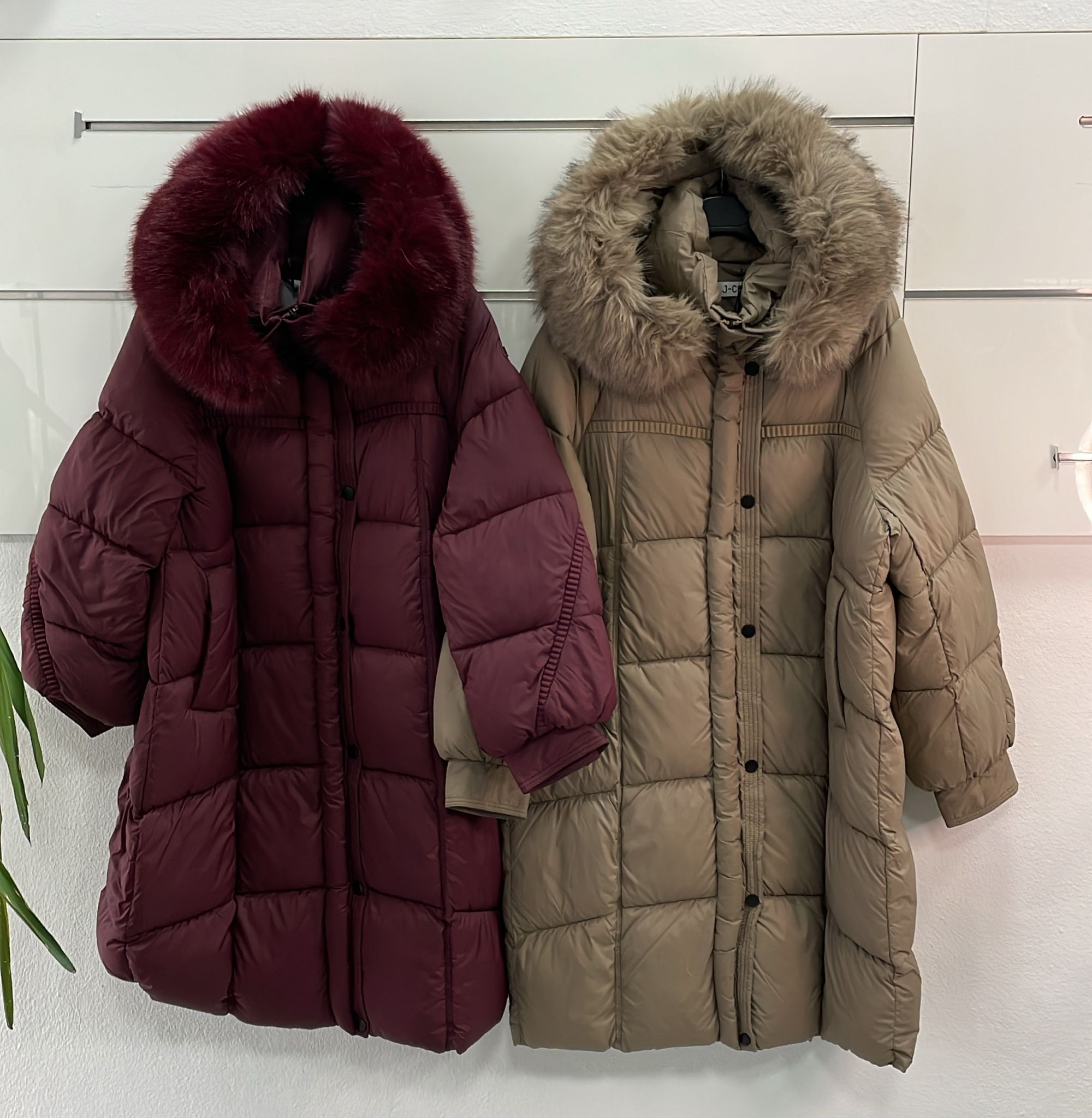 Фото Joie Clair (J-Clair)