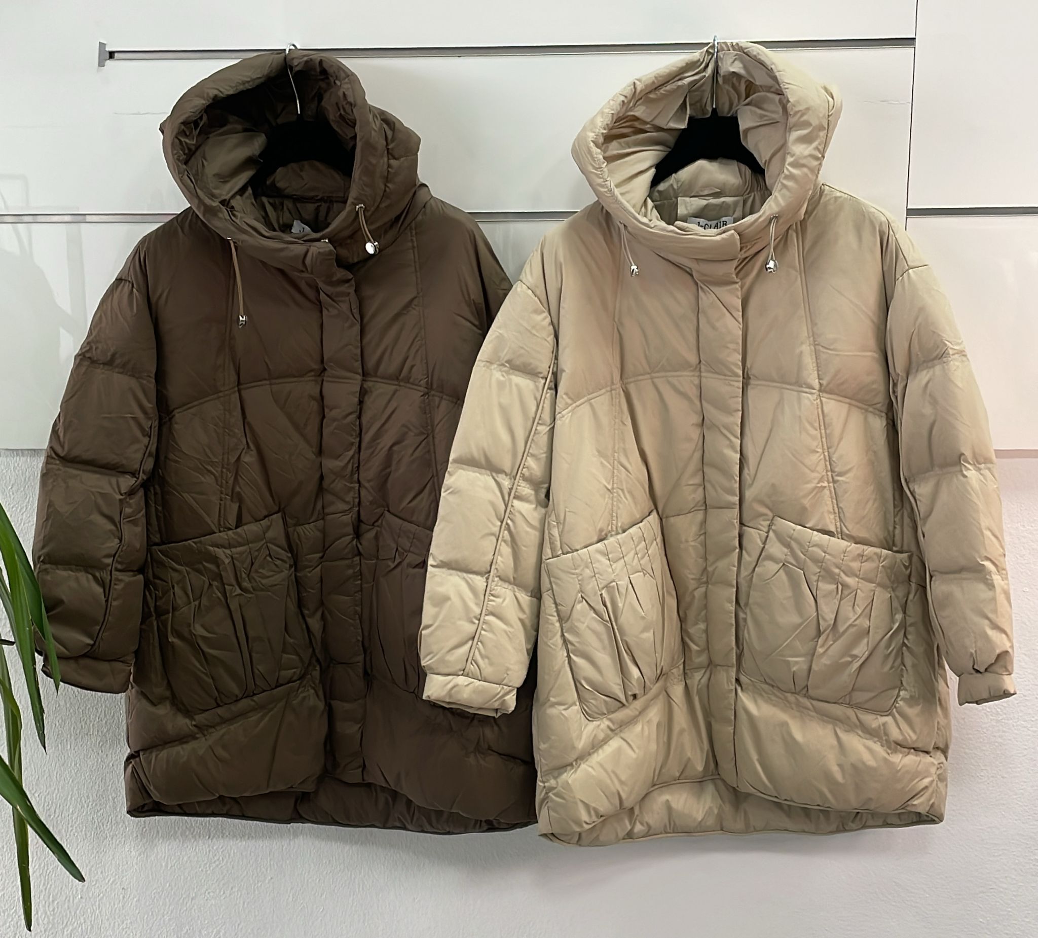 Фото Joie Clair (J-Clair)