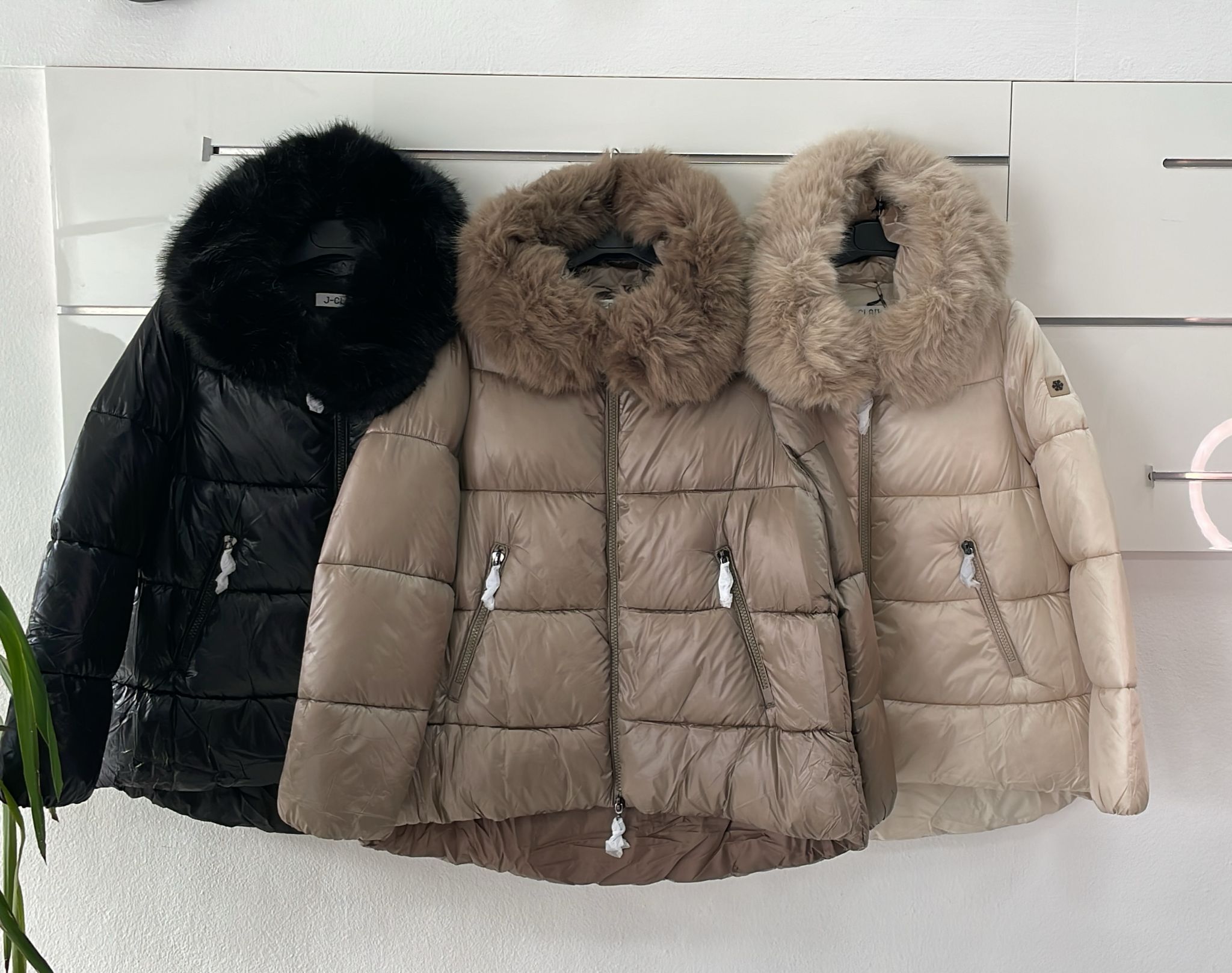 Фото Joie Clair (J-Clair)