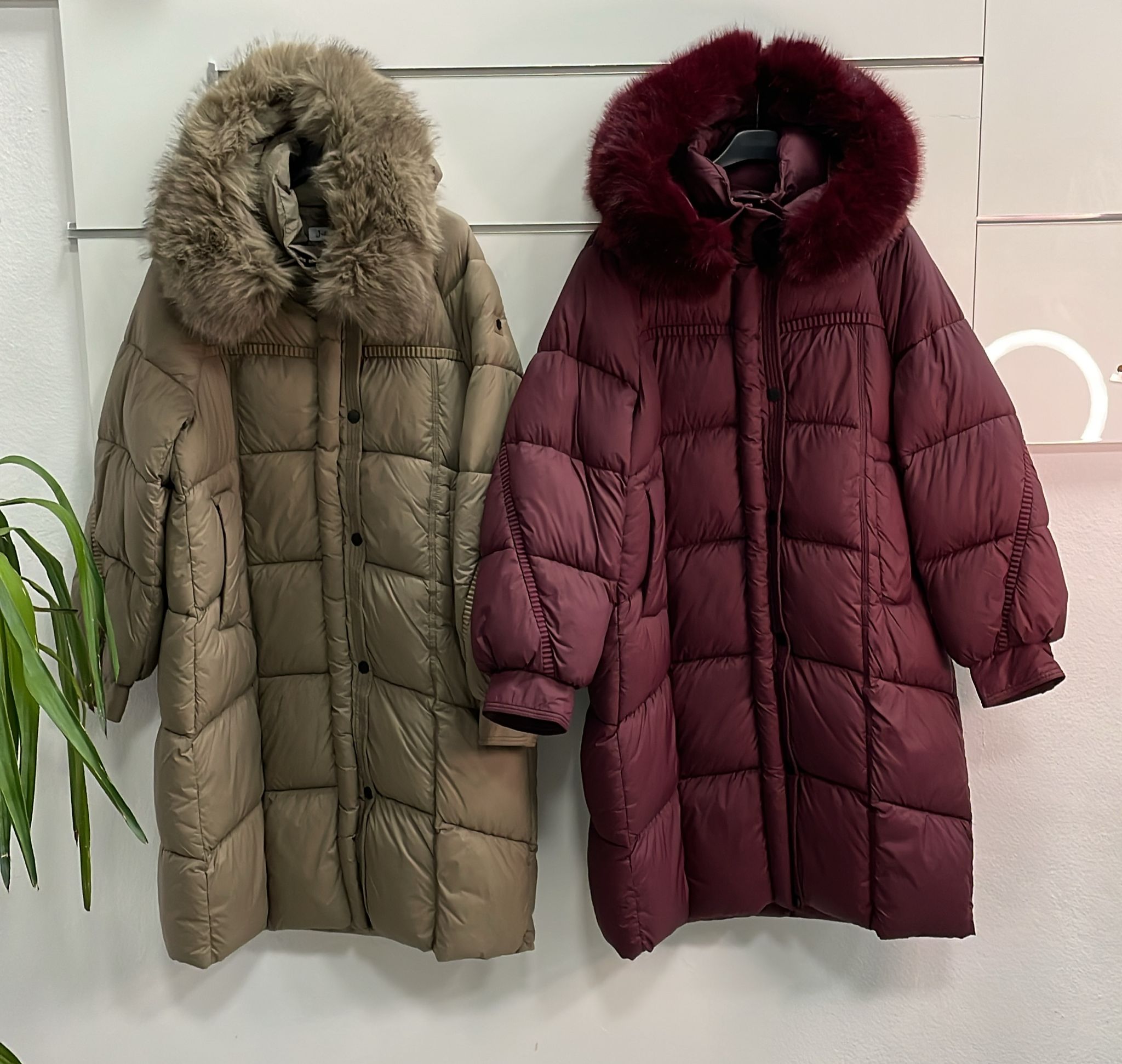 Фото Joie Clair (J-Clair)