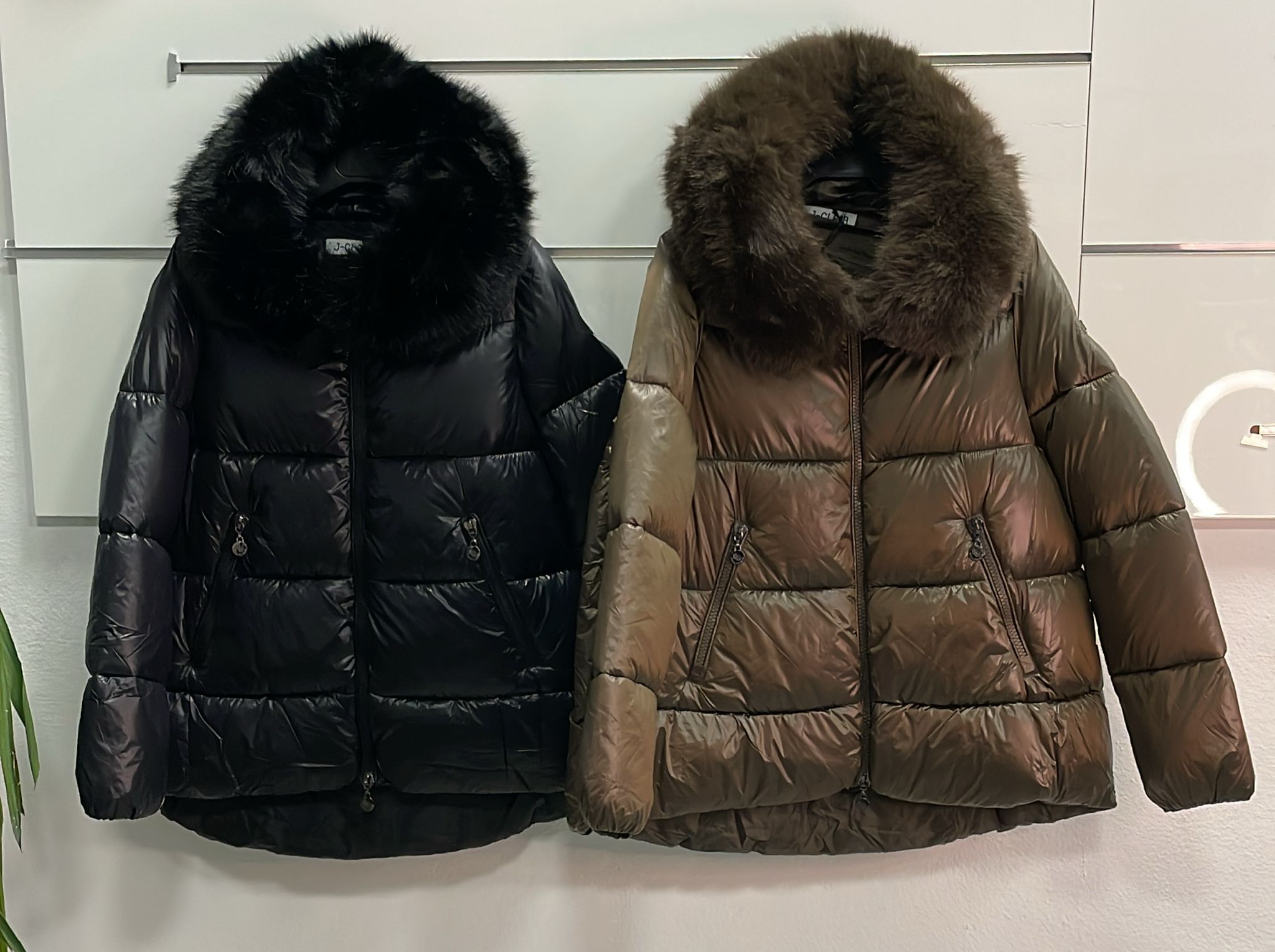 Фото Joie Clair (J-Clair)