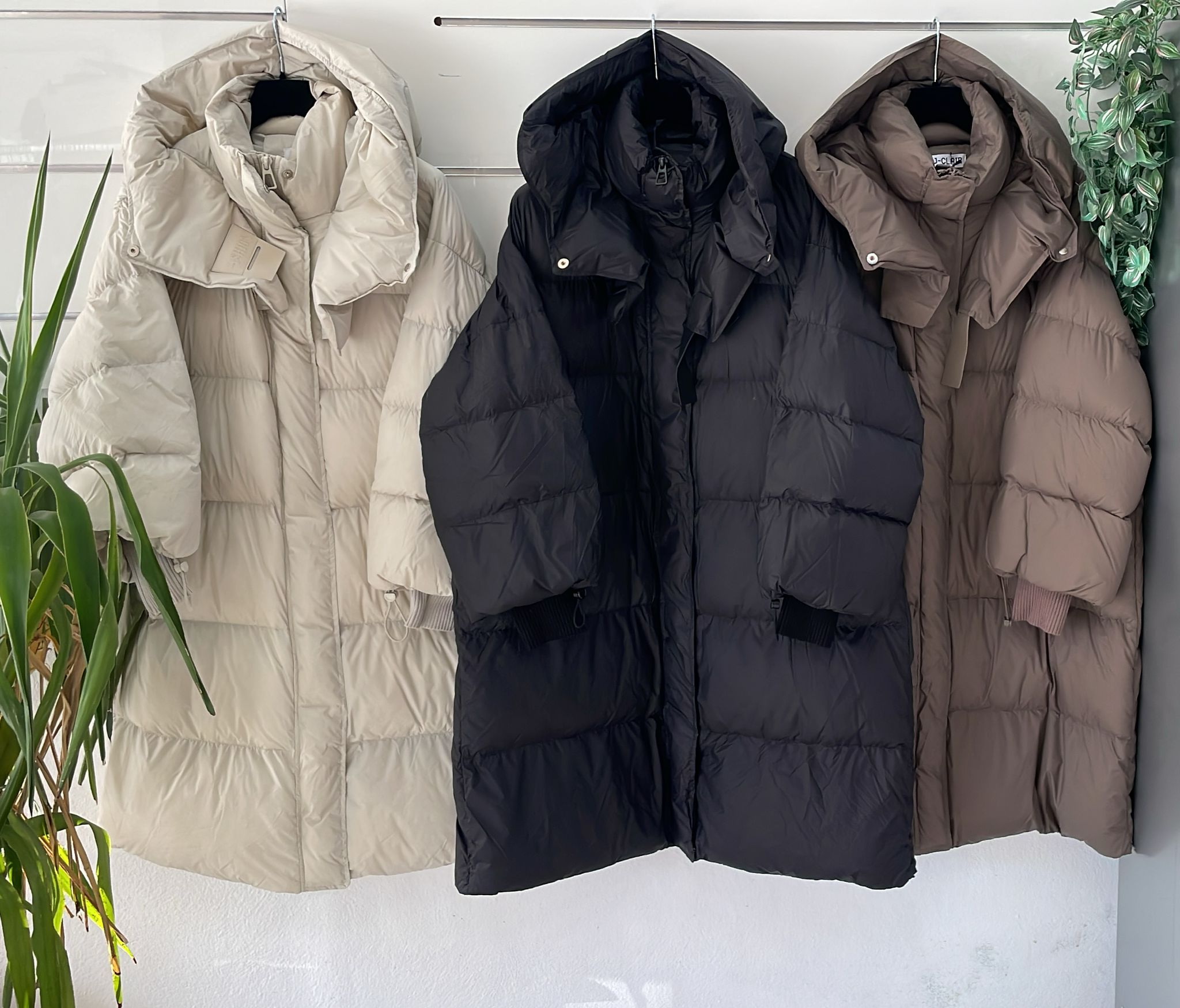 Фото Joie Clair (J-Clair)