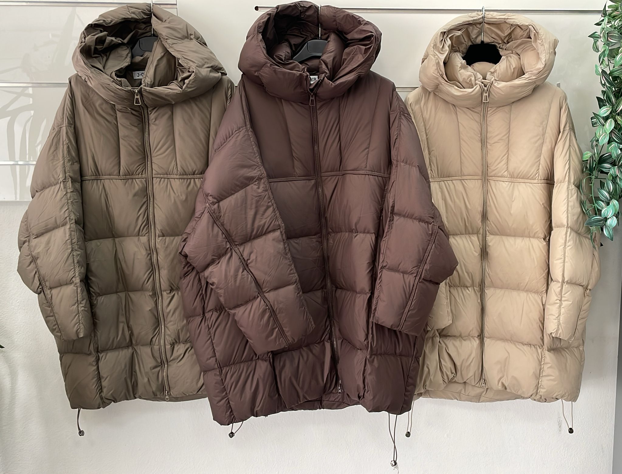 Фото Joie Clair (J-Clair)