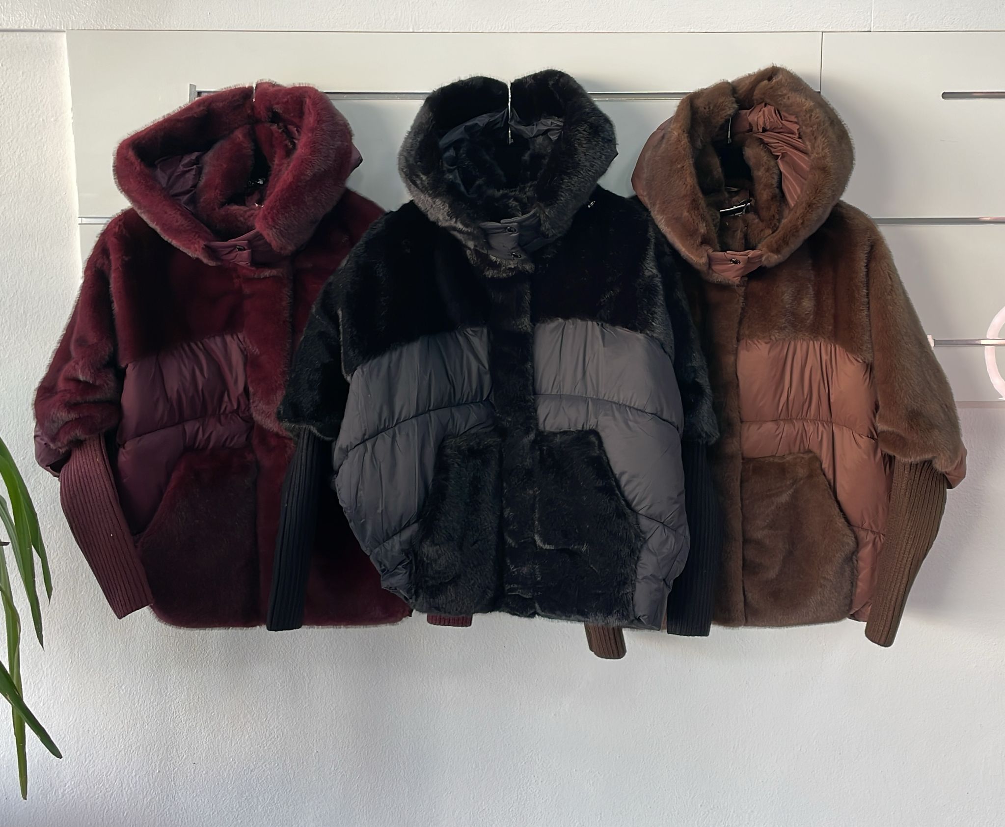 Фото Joie Clair (J-Clair)