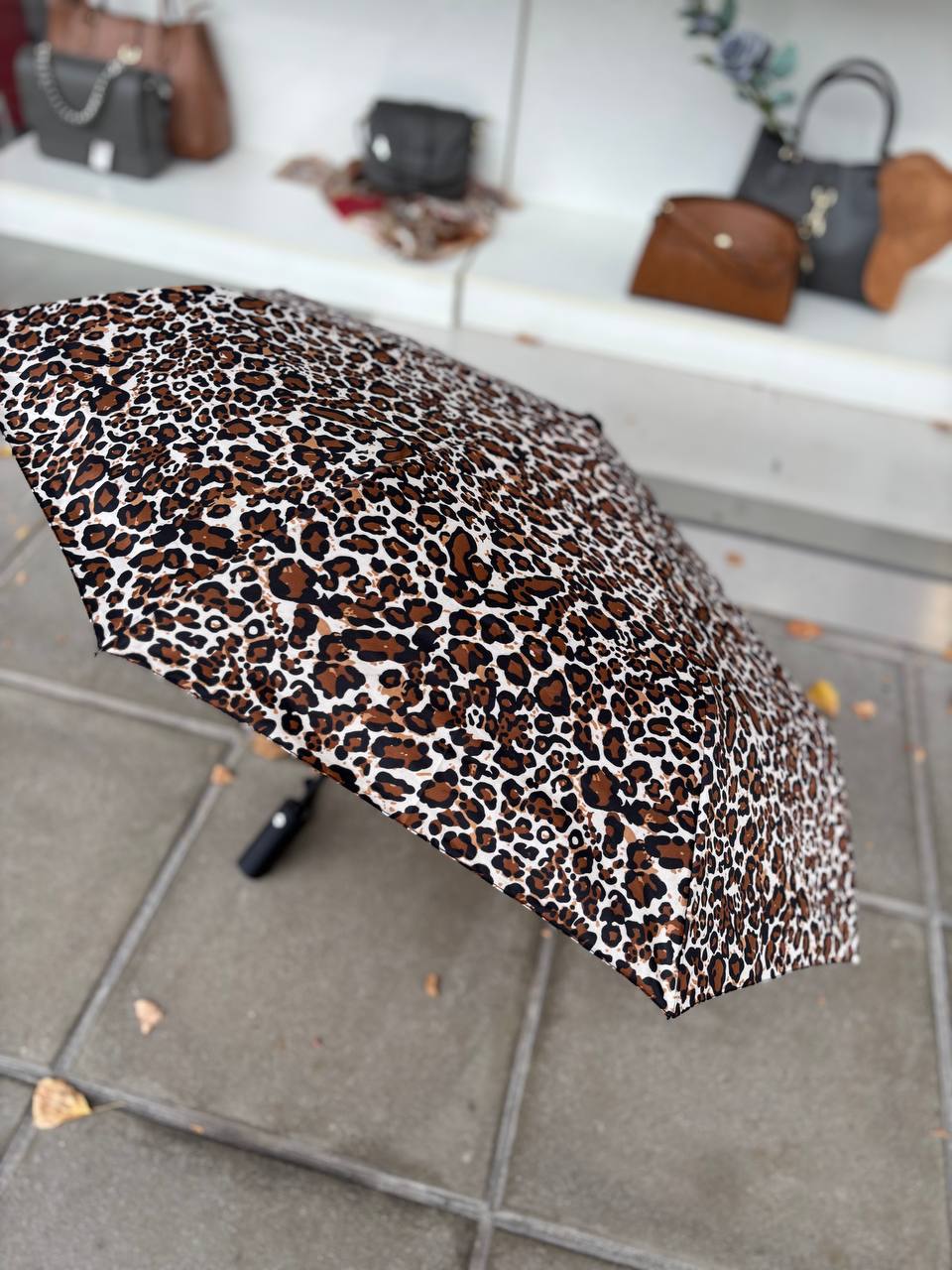 Фото Leather Country