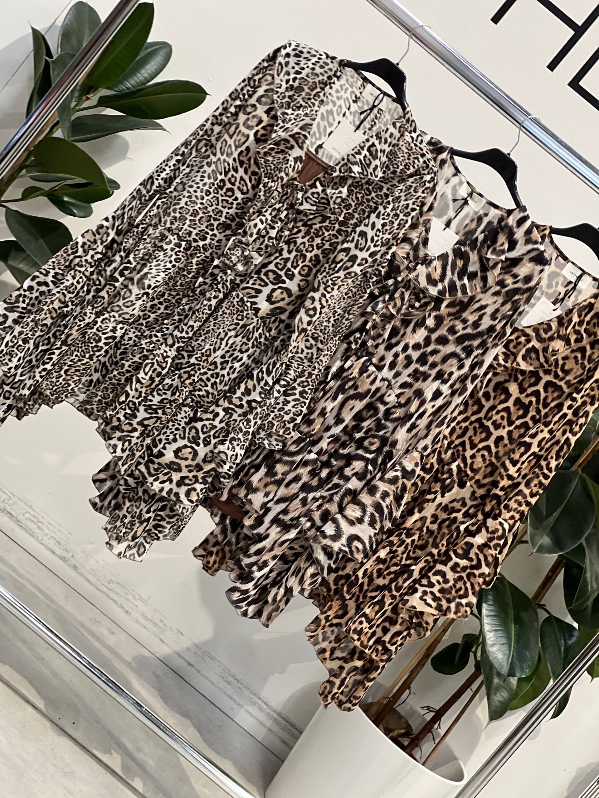 Фото Amelie Follies (Michelle)