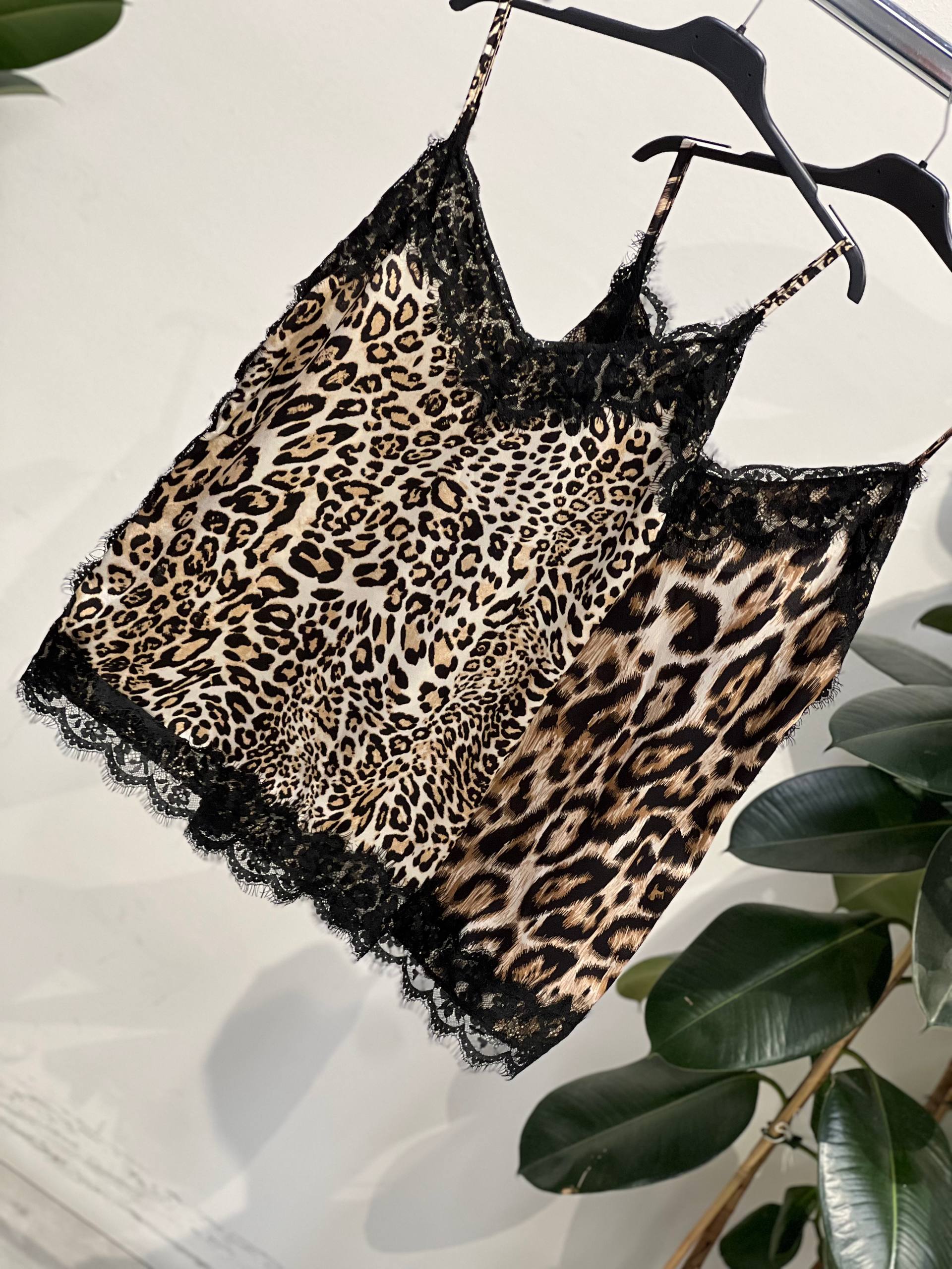 Amelie Follies (Michelle) Фото Amelie Follies (Michelle)