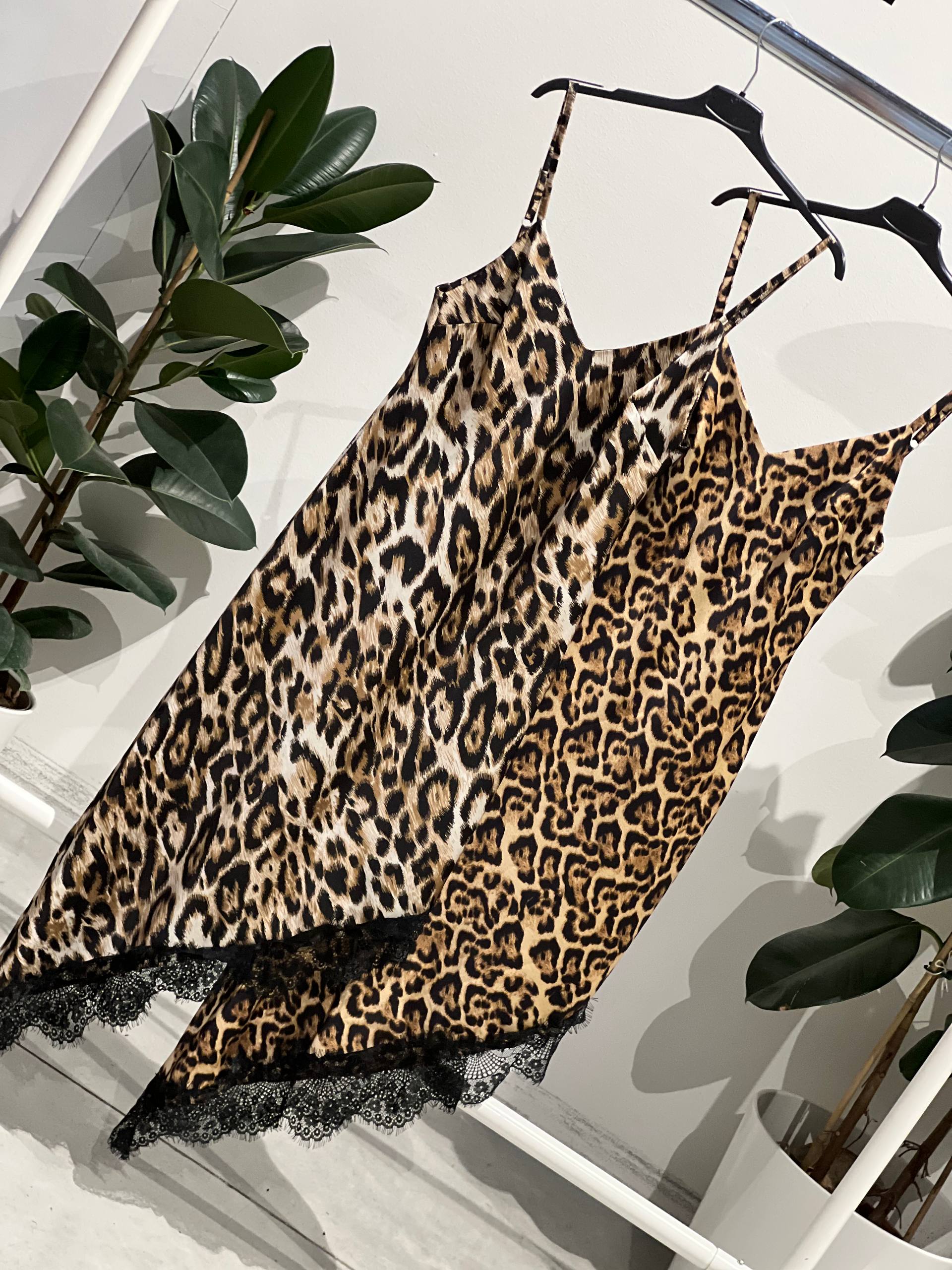 Фото Amelie Follies (Michelle)