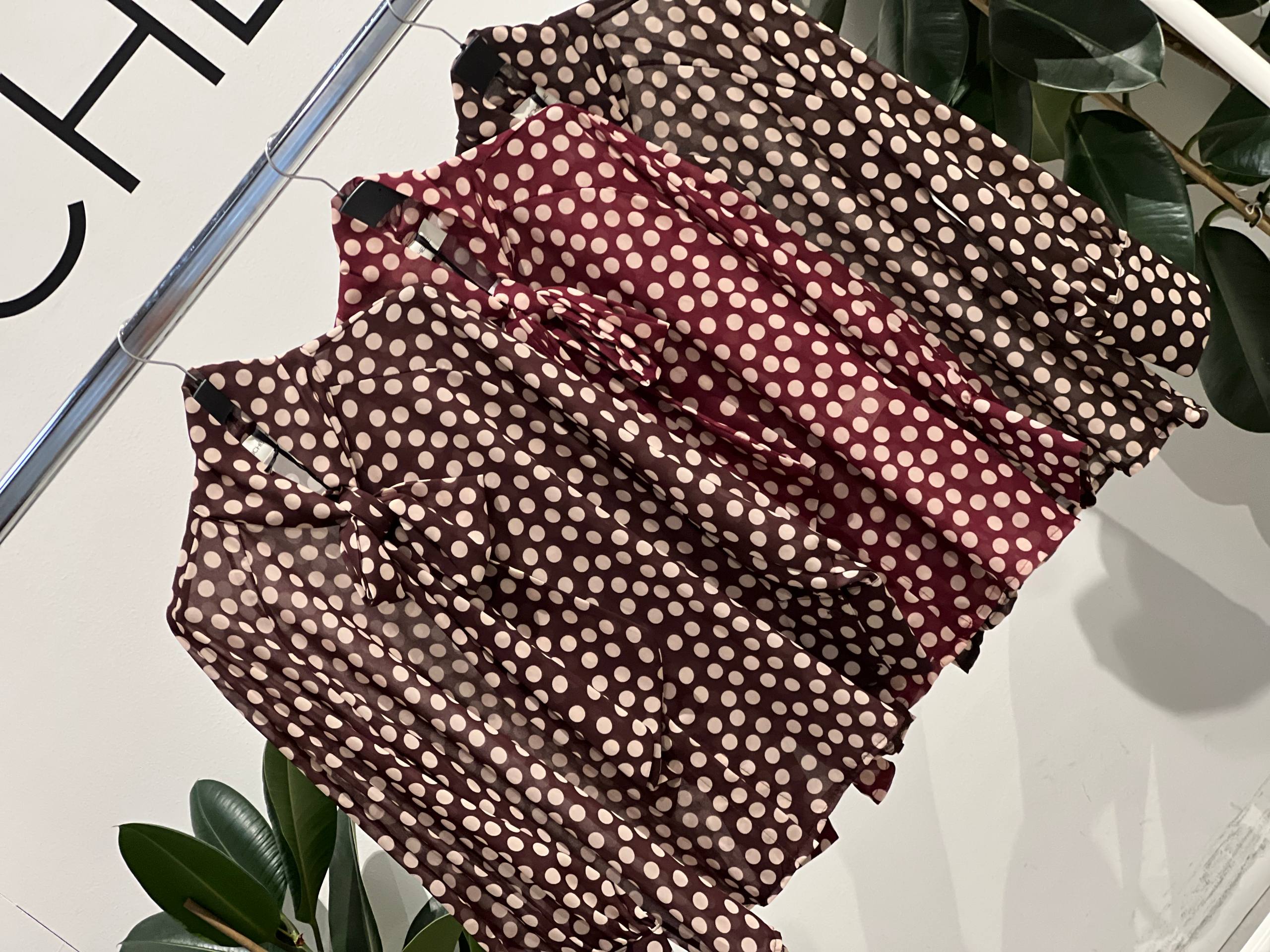 Фото Amelie Follies (Michelle)