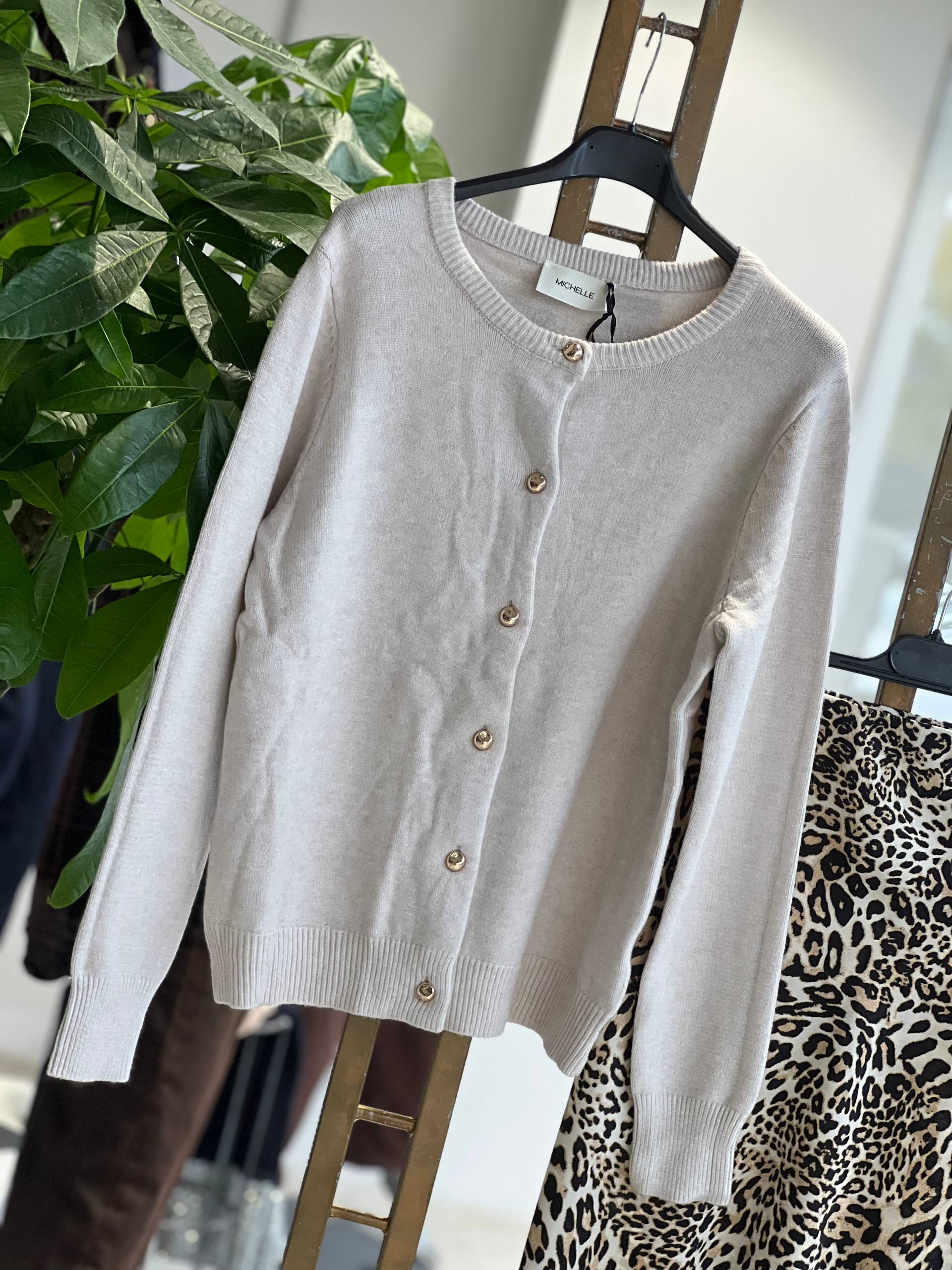 Amelie Follies (Michelle) Фото Amelie Follies (Michelle)