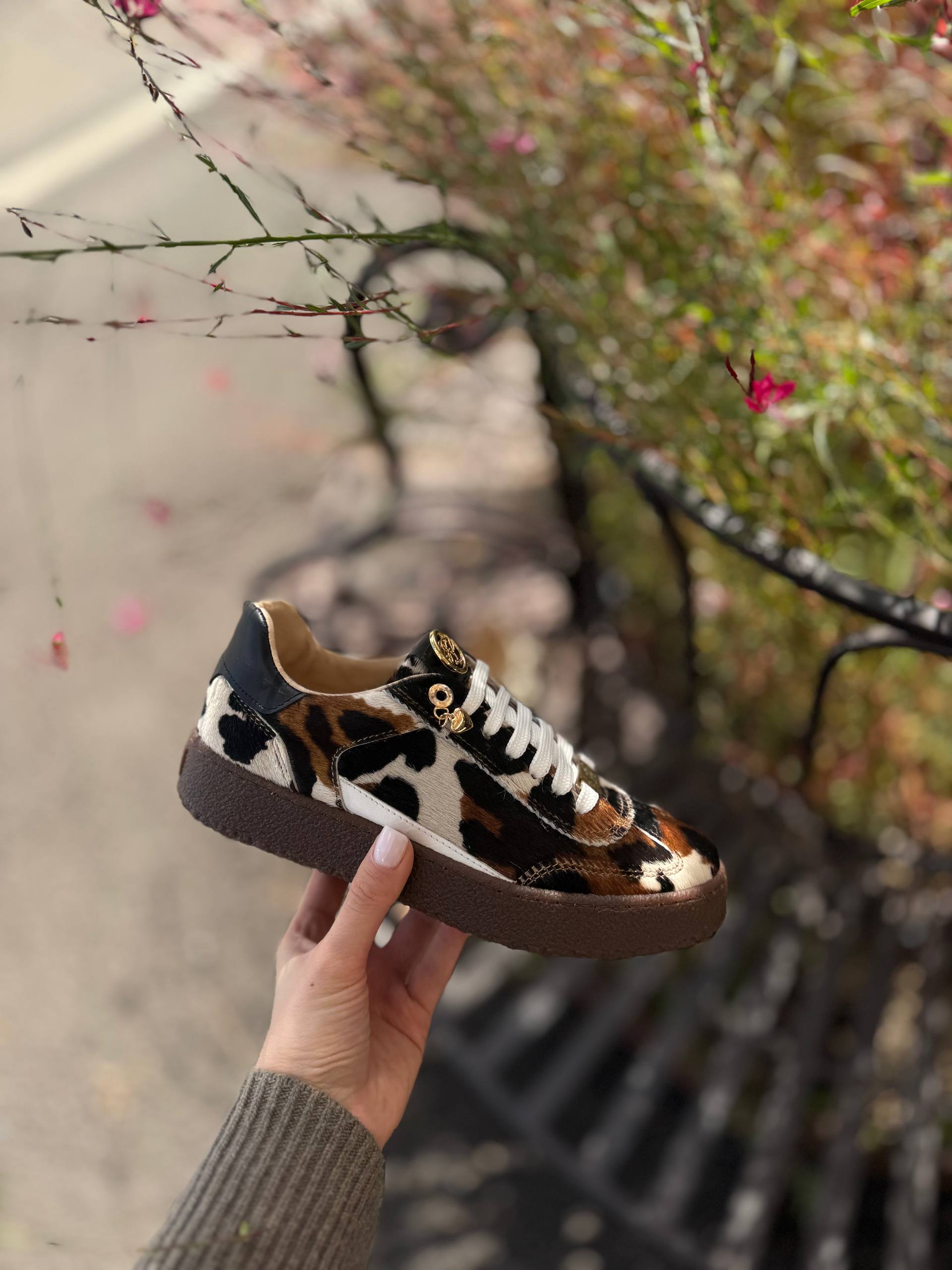 Фото Federica Lancioni