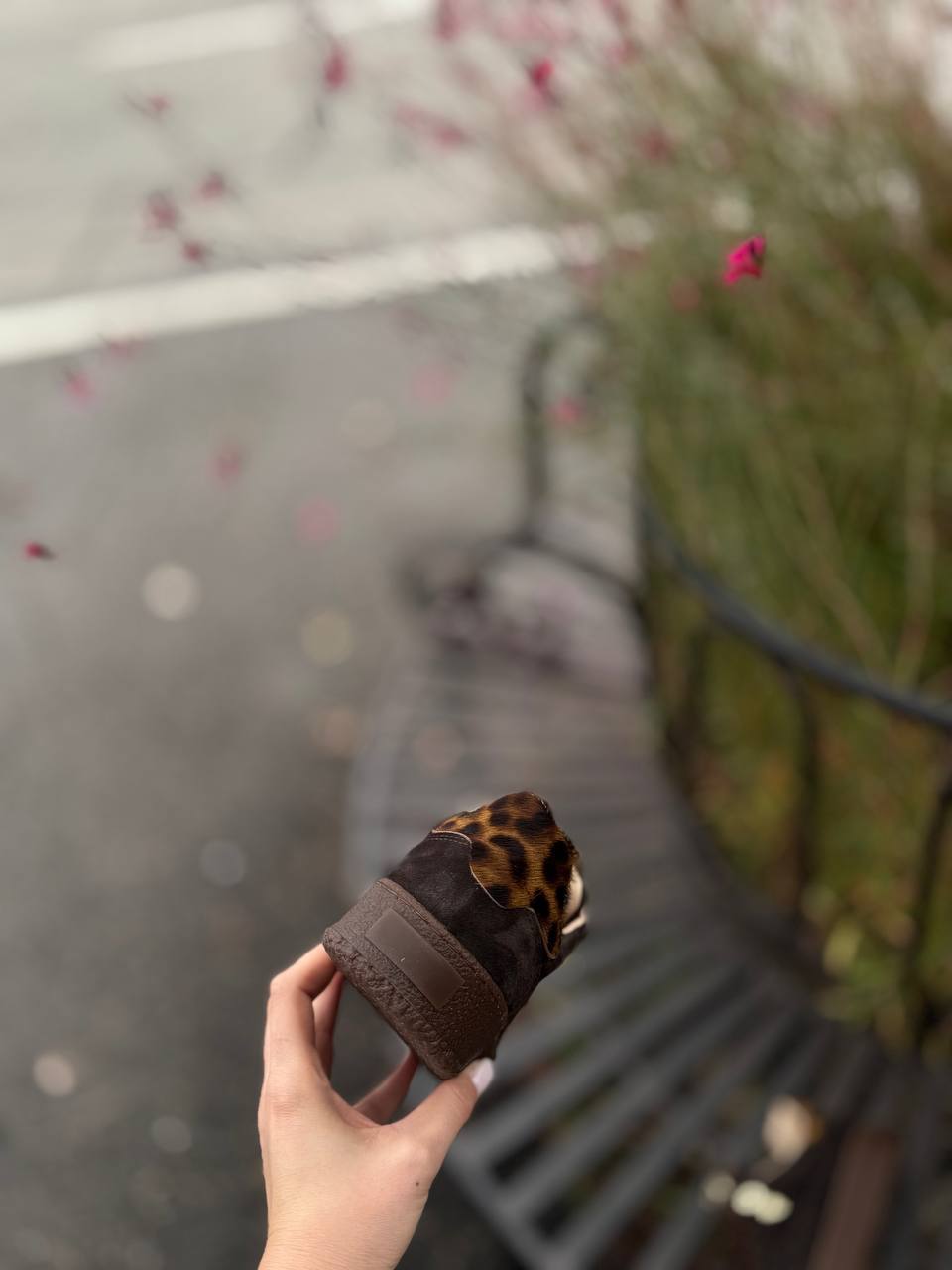 Фото Federica Lancioni