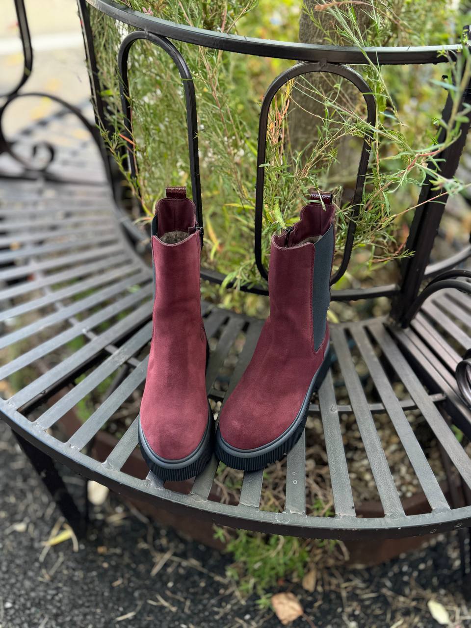 Фото Federica Lancioni