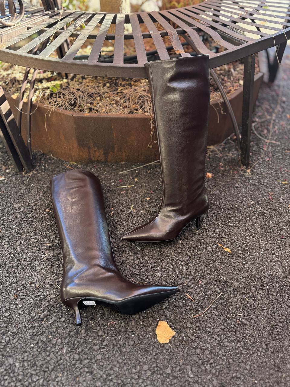 Фото Federica Lancioni