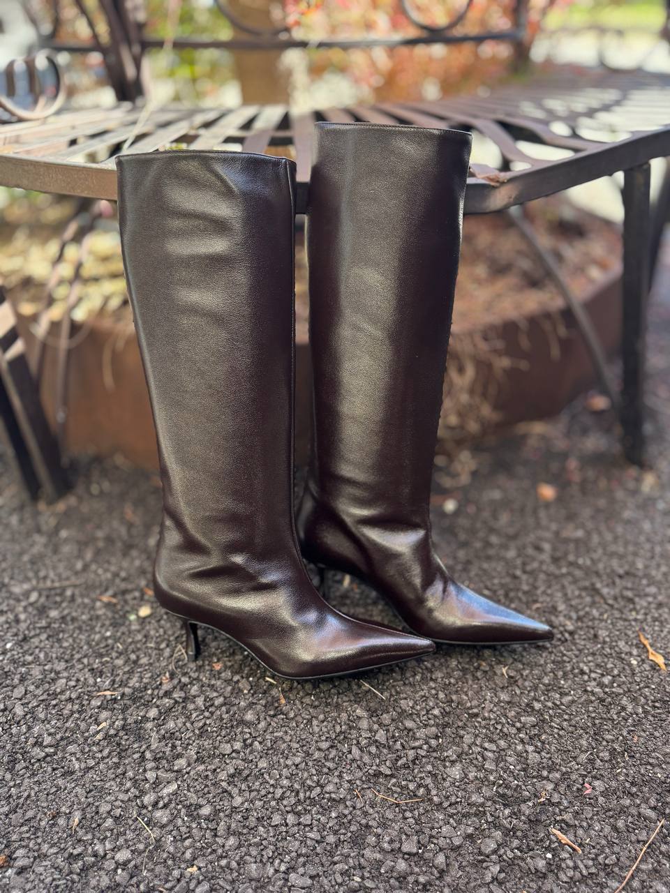 Фото Federica Lancioni