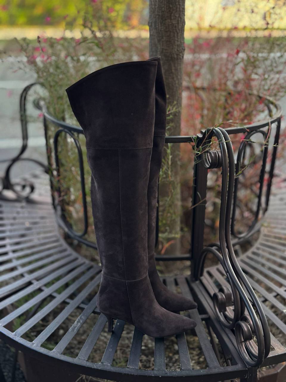 Фото Federica Lancioni