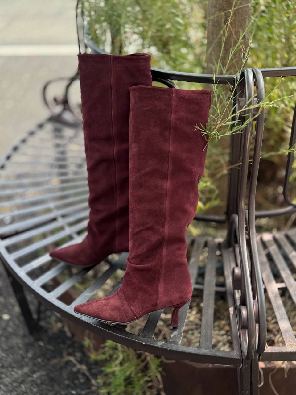 Фото Federica Lancioni