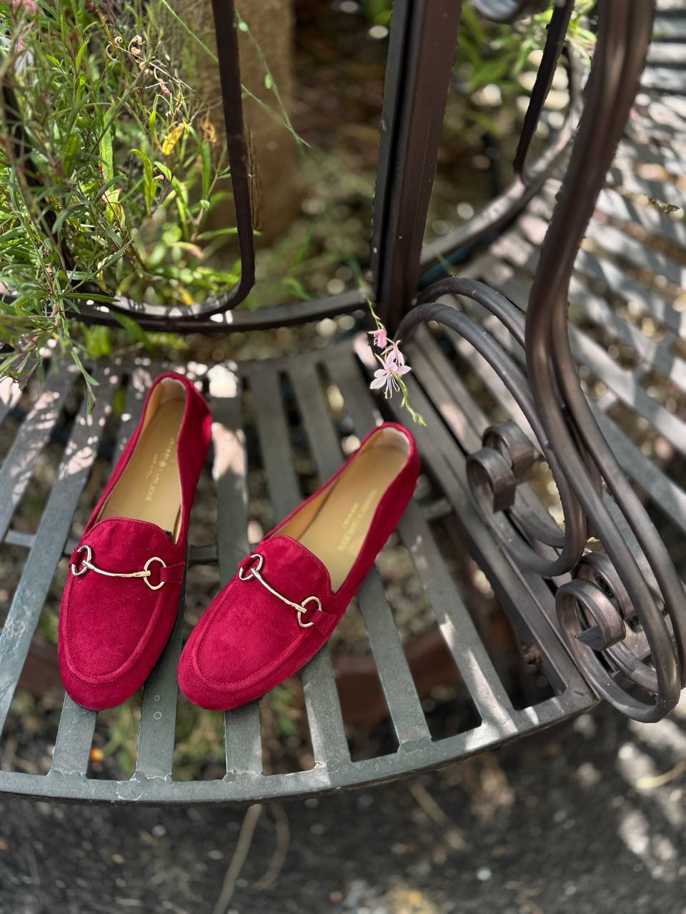 Фото Federica Lancioni